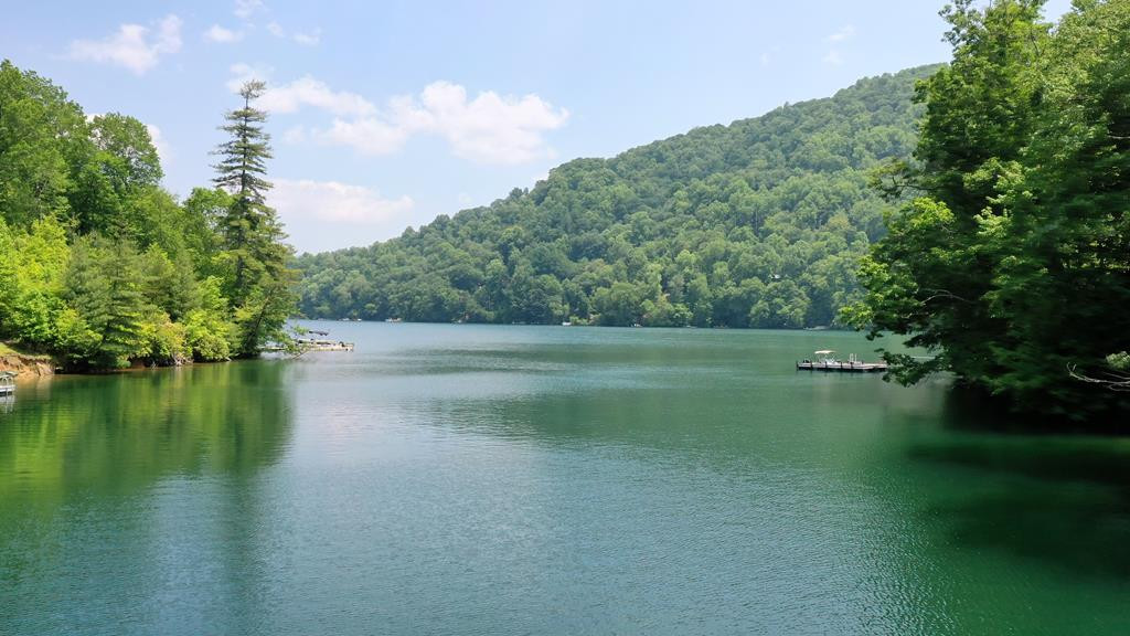 Homes for sale in Nantahala, NC | 00 Old Lodge Rd, Nantahala, NC 28781 | MLS# 98544094