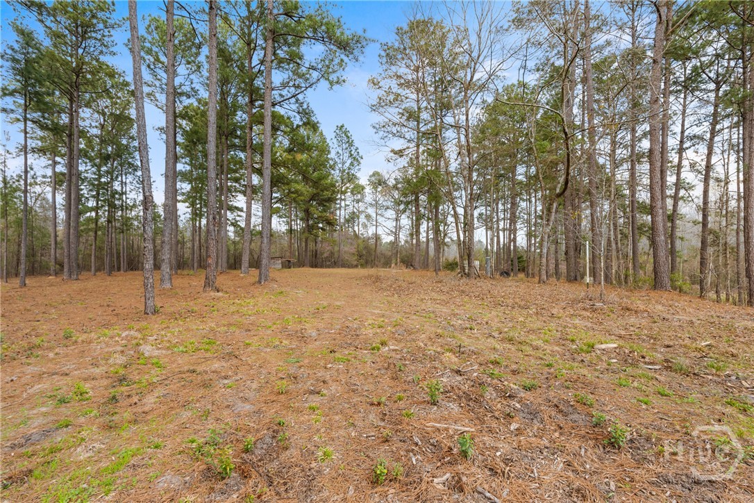 3127 Buttermilk, Sylvania, GA, 30467