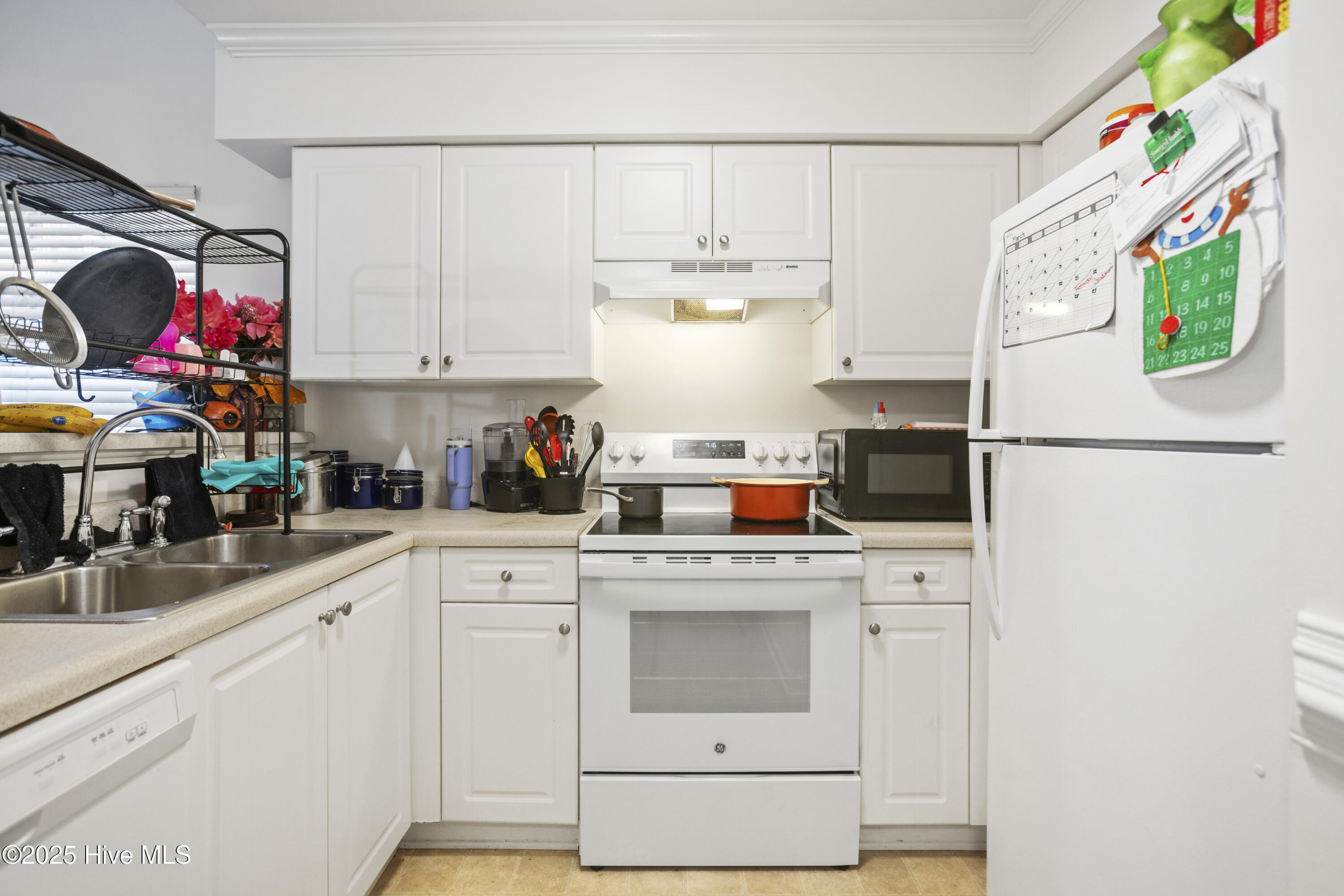 100496889 | Photo 17