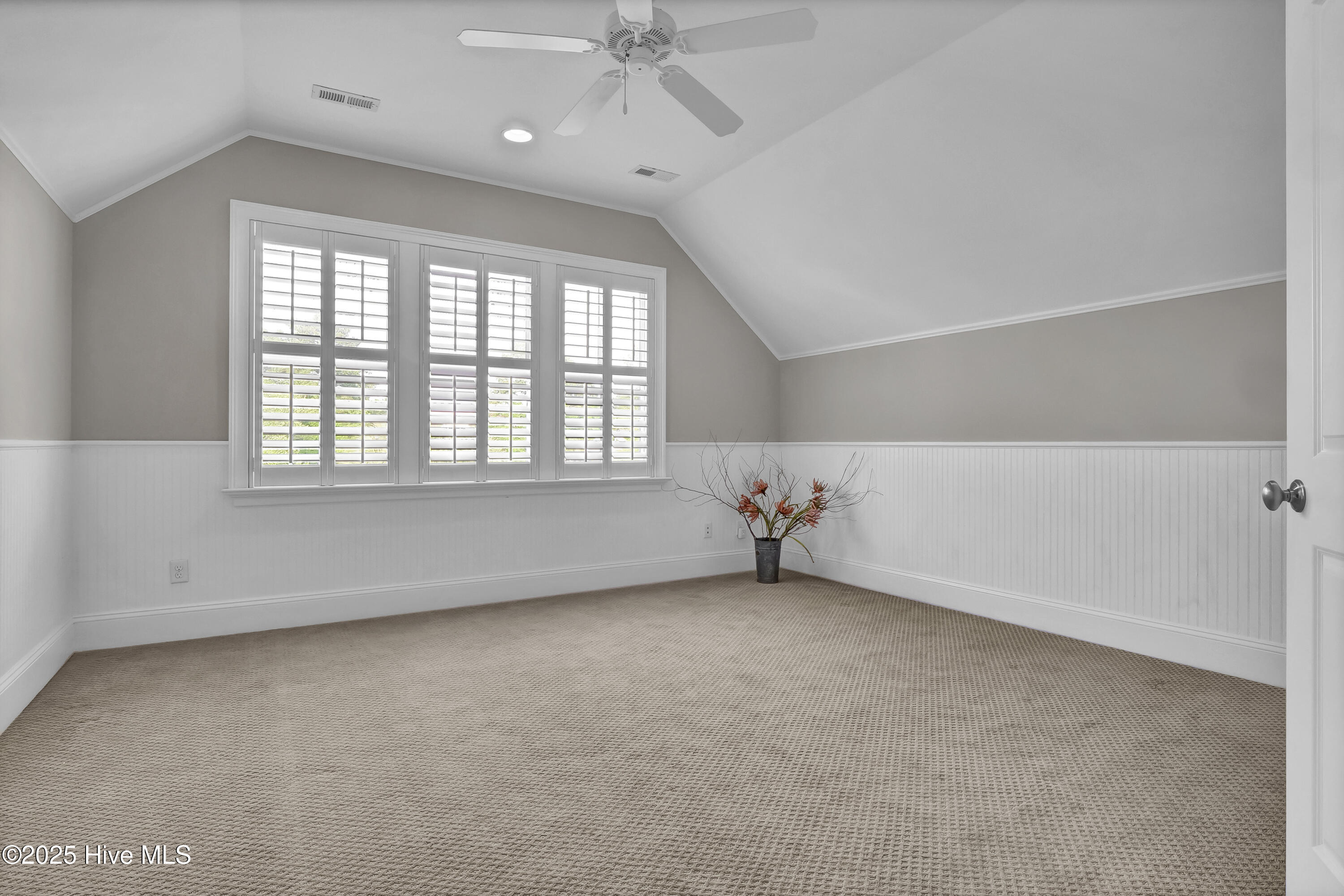 100504953 | Photo 35