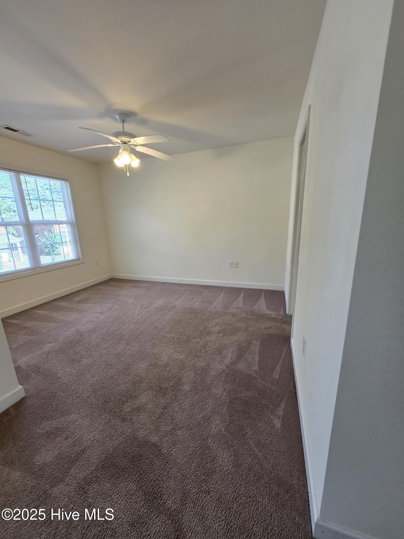 100536173 | Photo 13