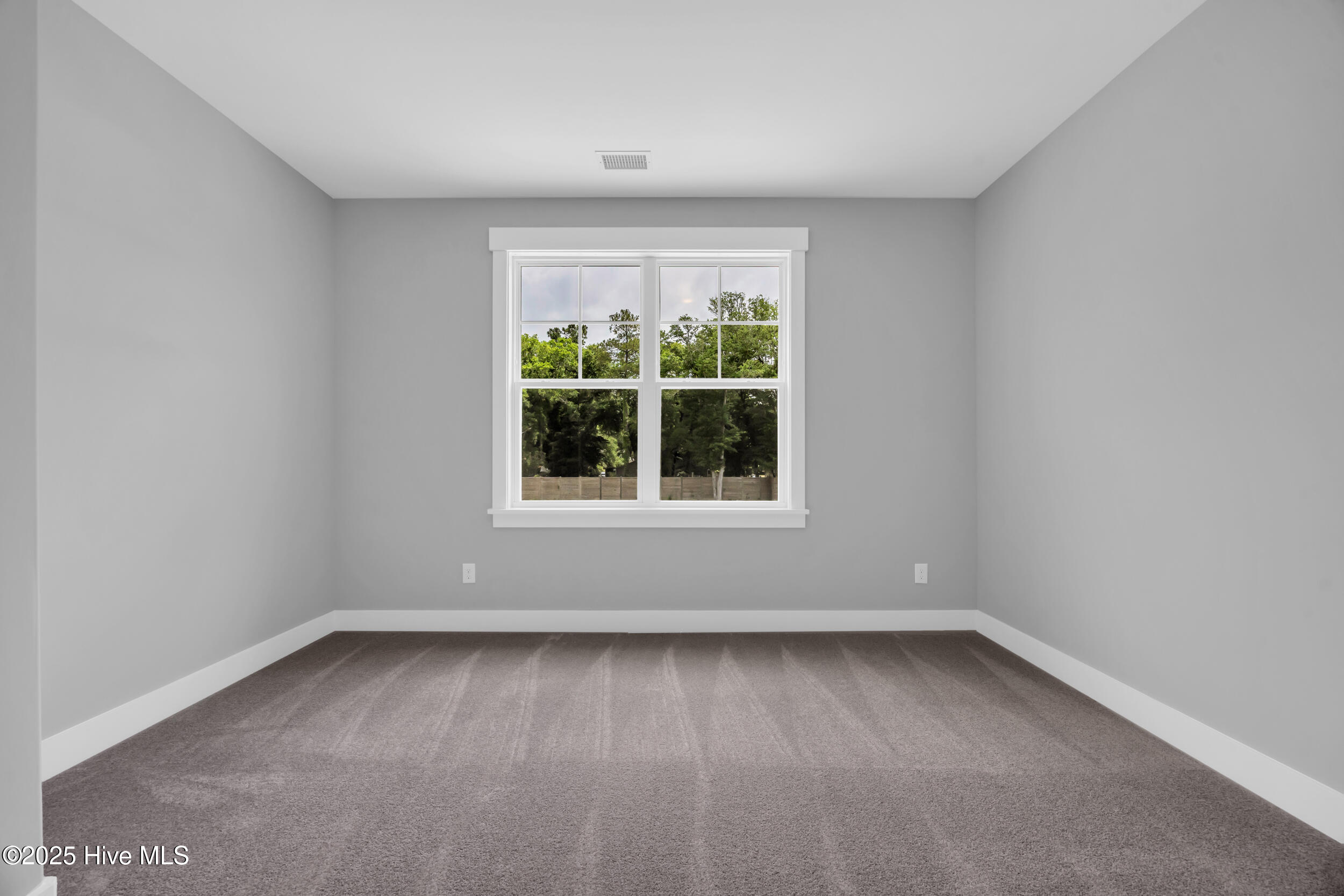 100507916 | Photo 15