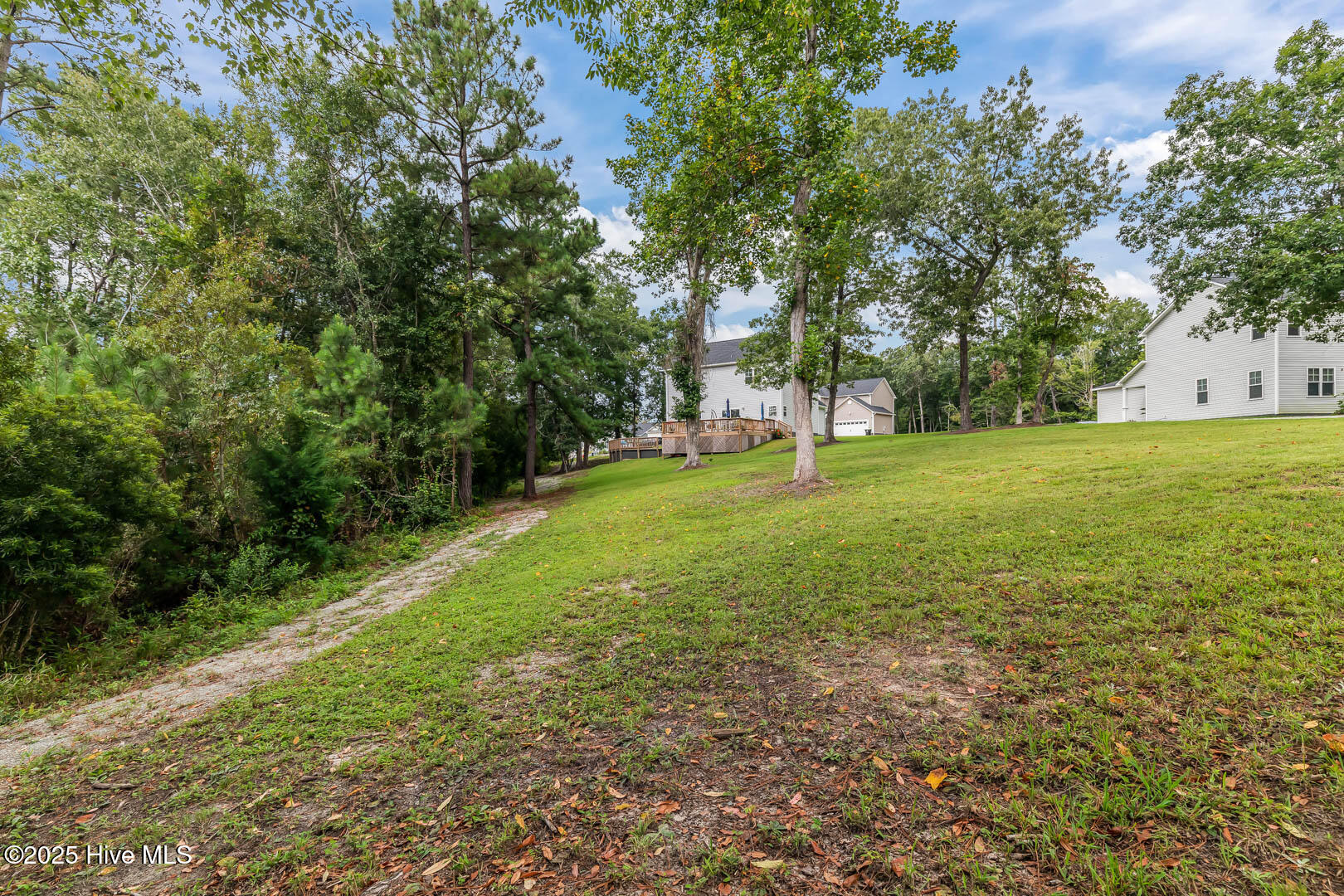 100544097 | Photo 65