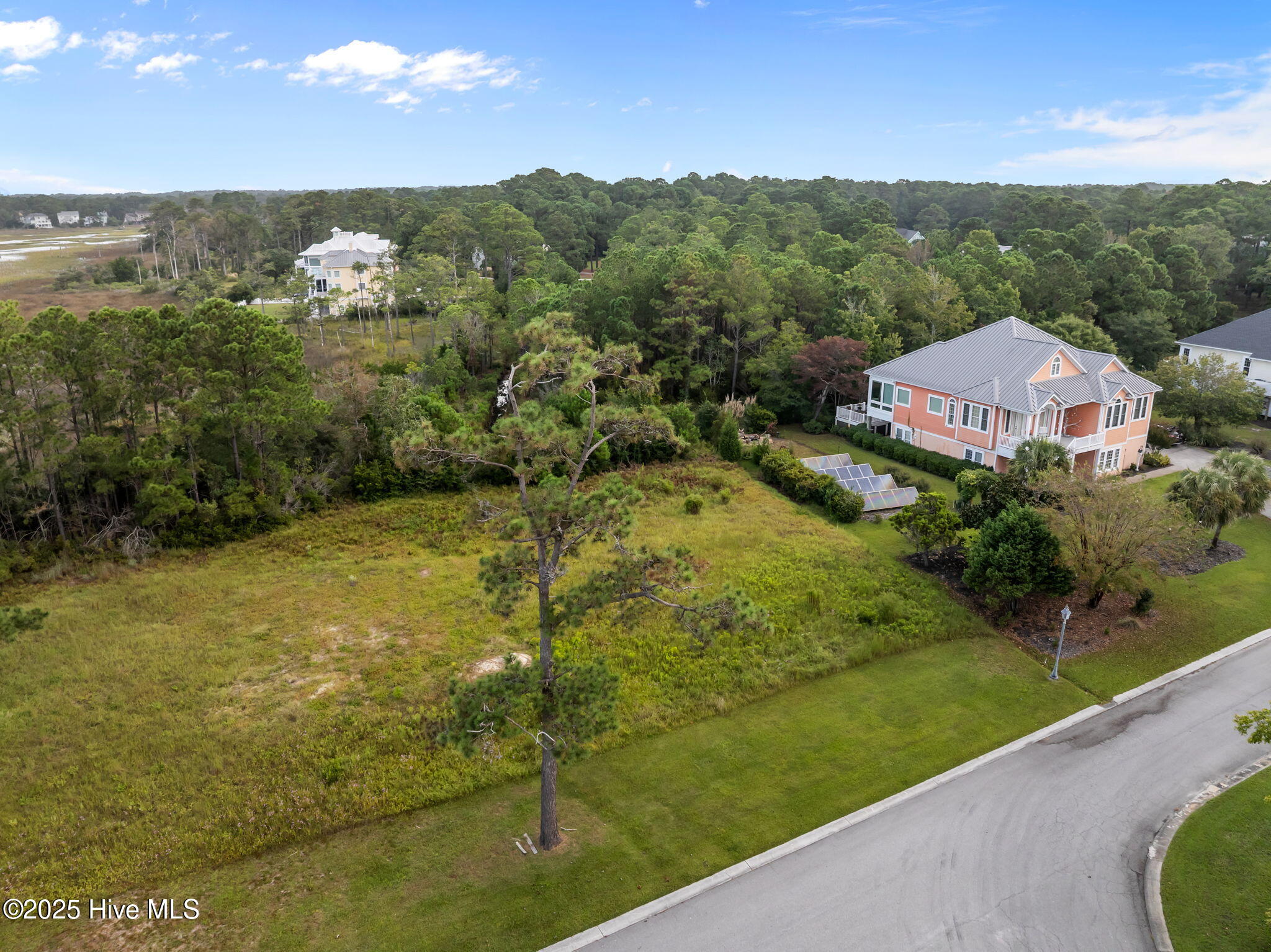 100531623 | Photo 21