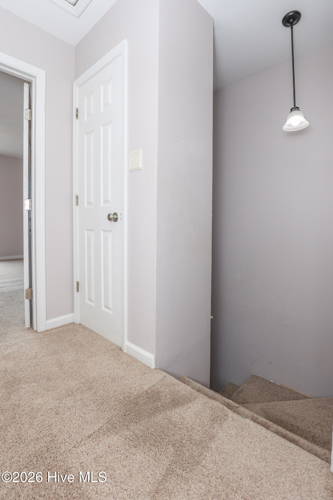 100559249 | Photo 15