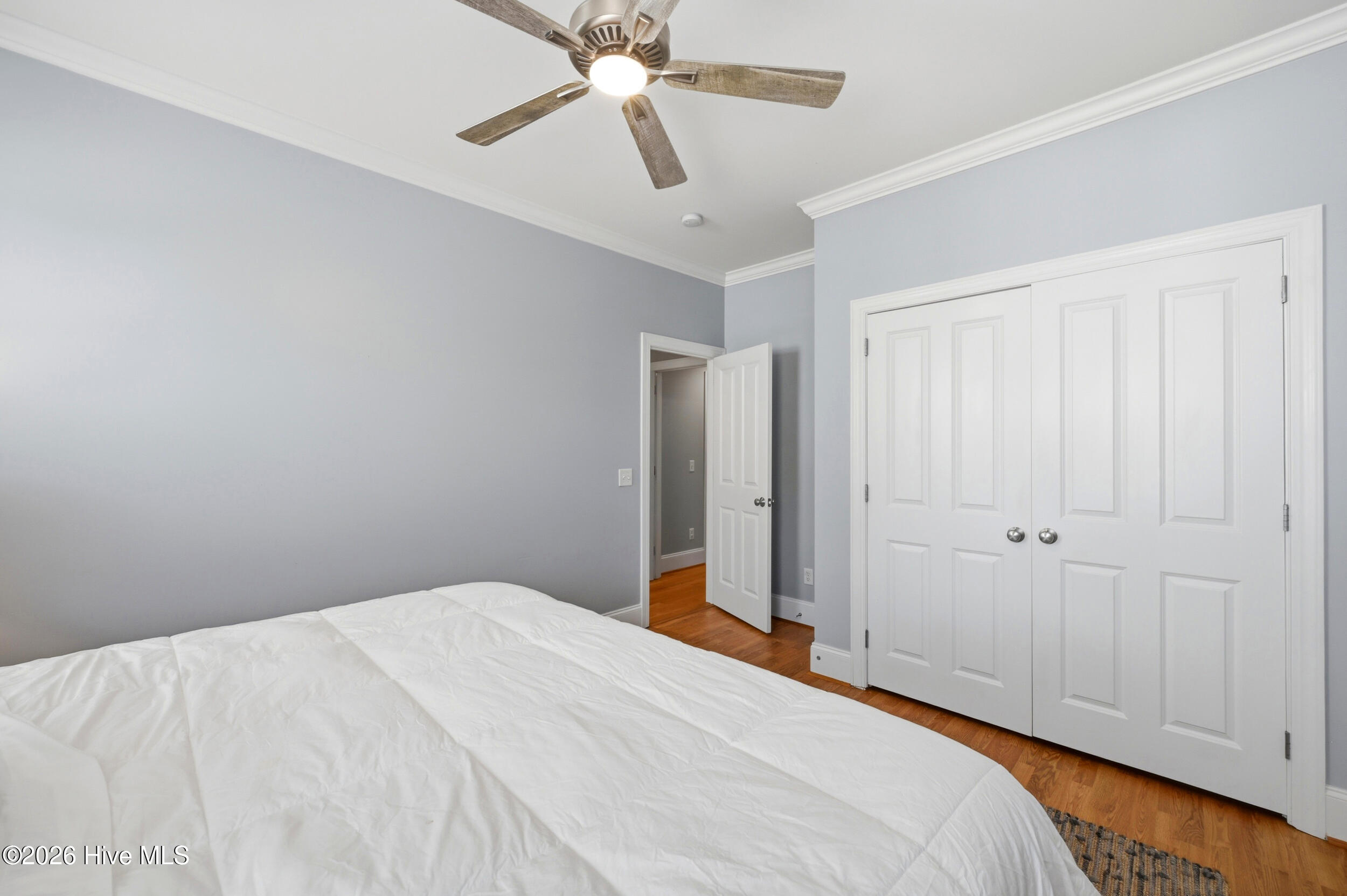 100566106 | Photo 31