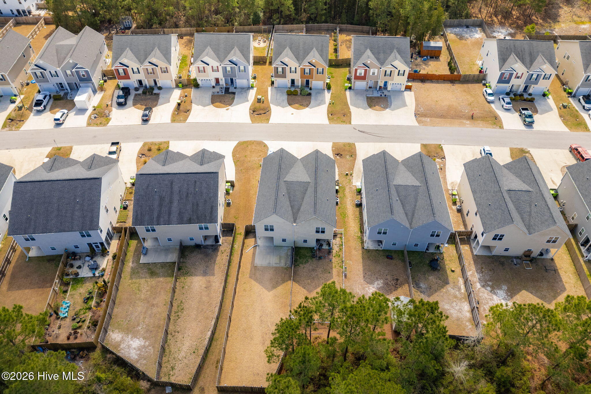 100558093 | Photo 34