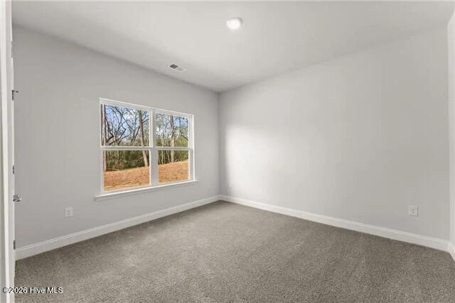 100567942 | Photo 22