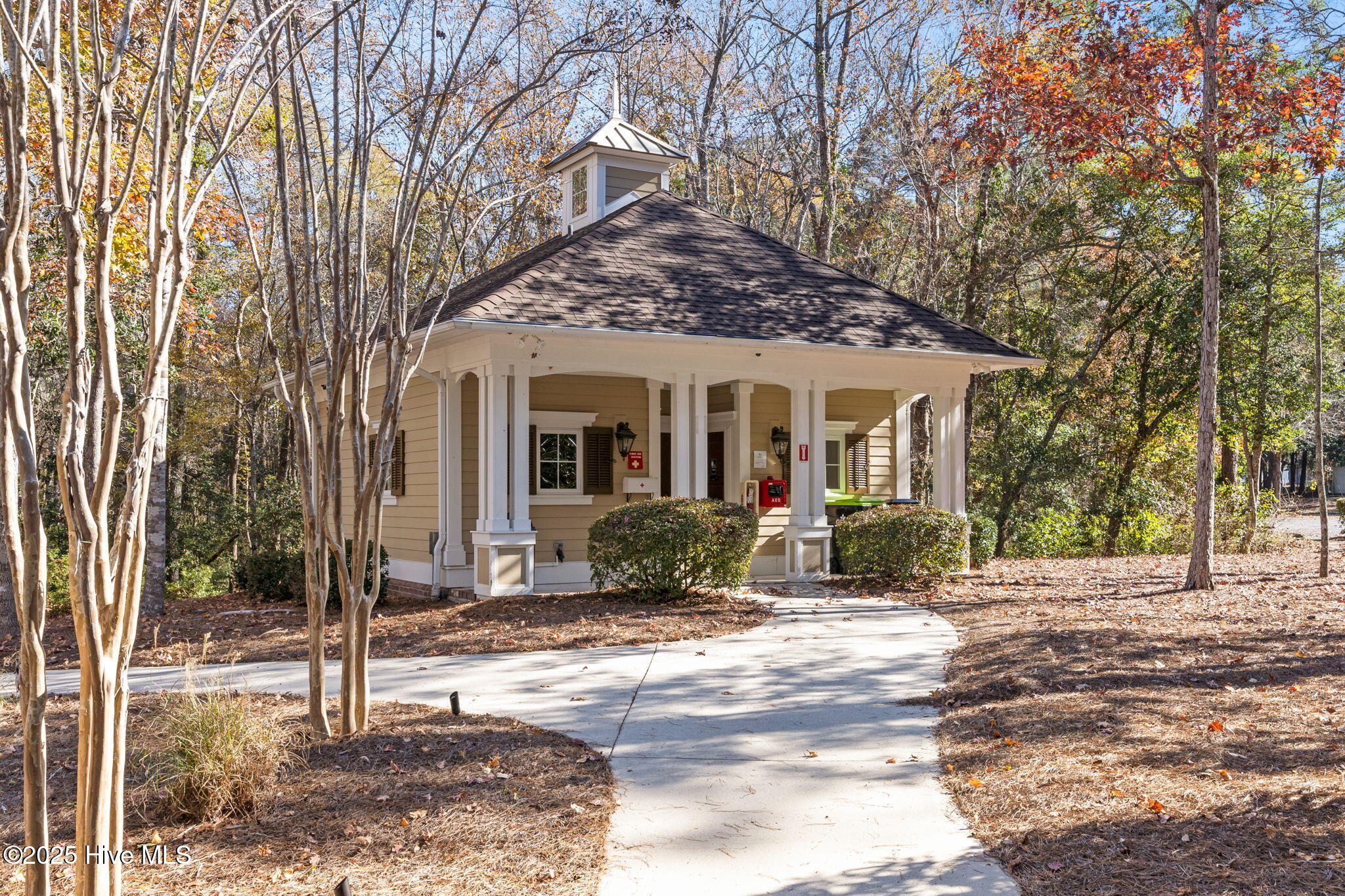 100518405 | Photo 117