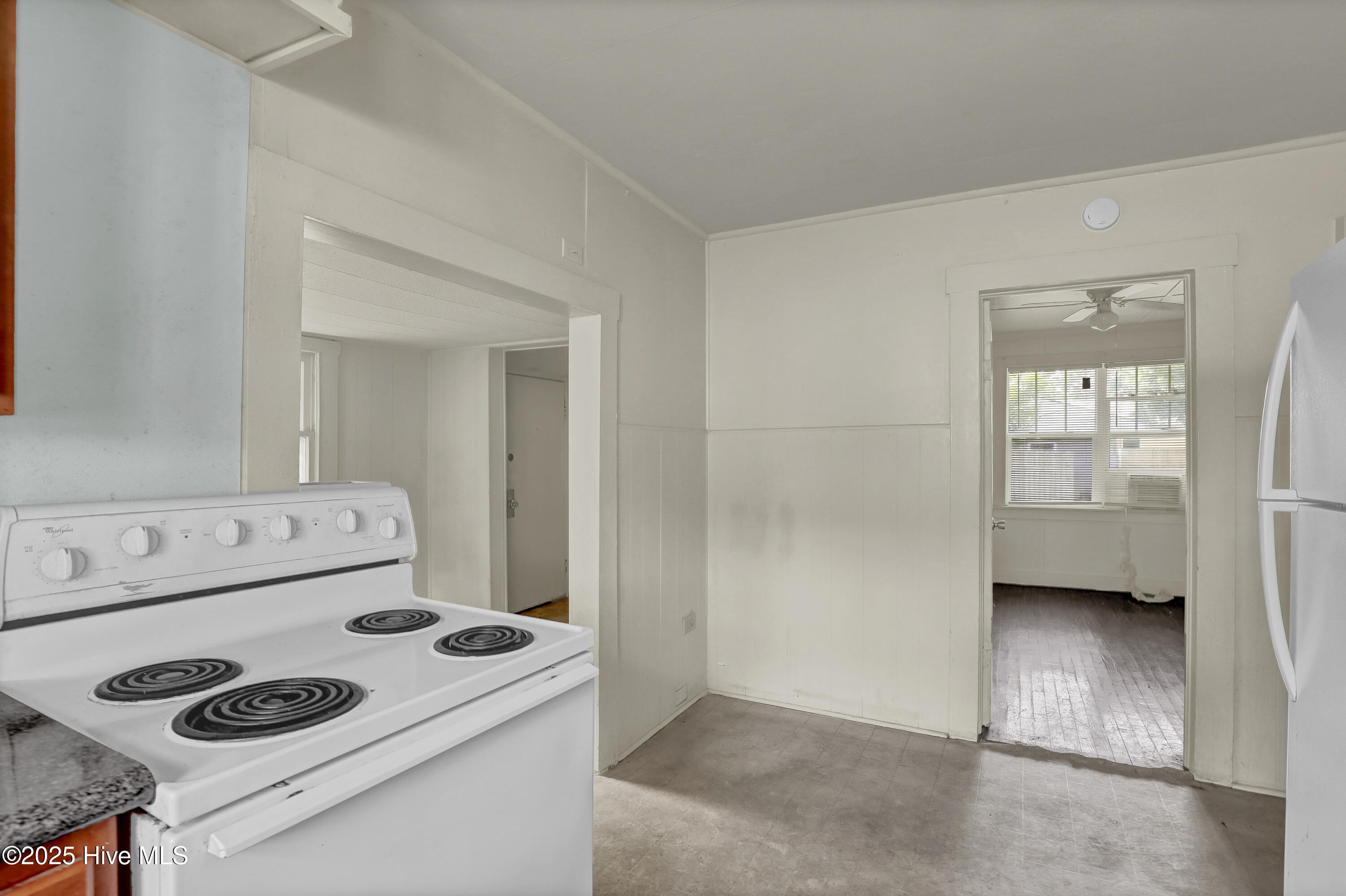 100514689 | Photo 16