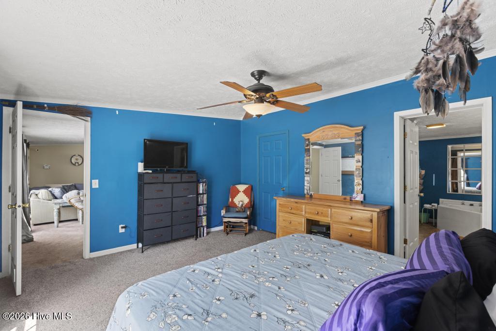 100570291 | Photo 21