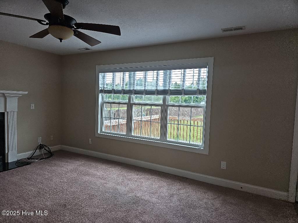 100541089 | Photo 10