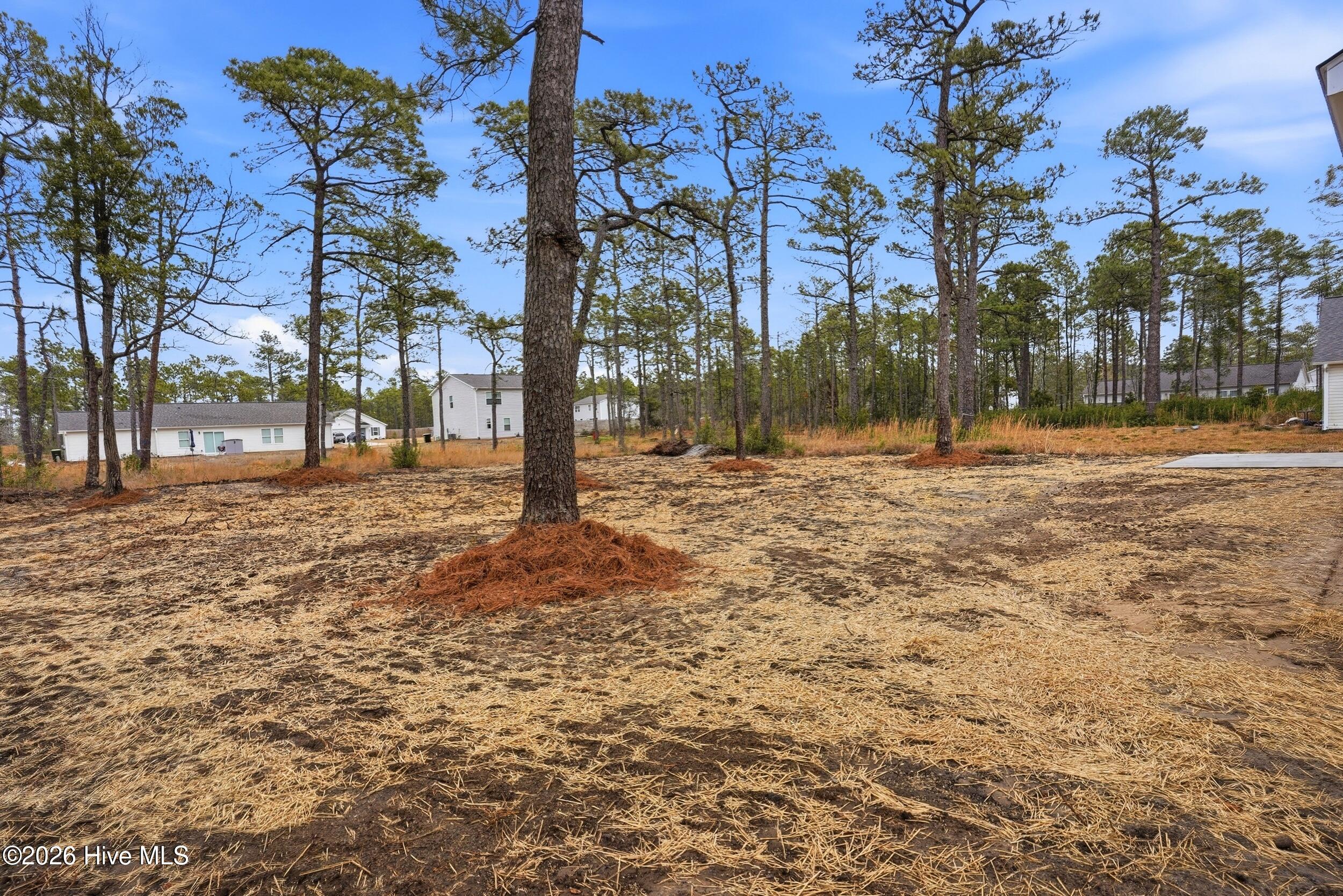 100558346 | Photo 10