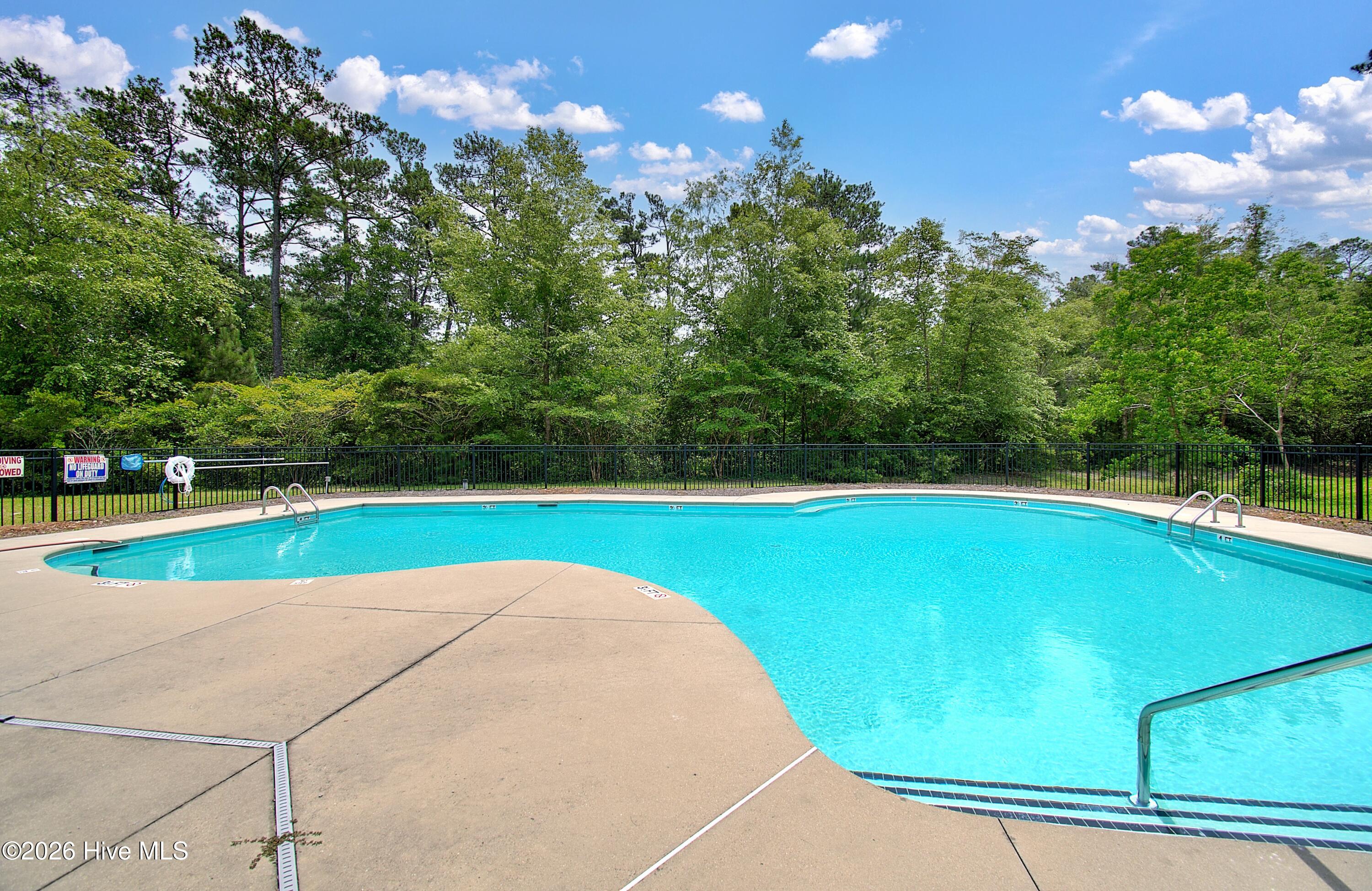 100565017 | Photo 80