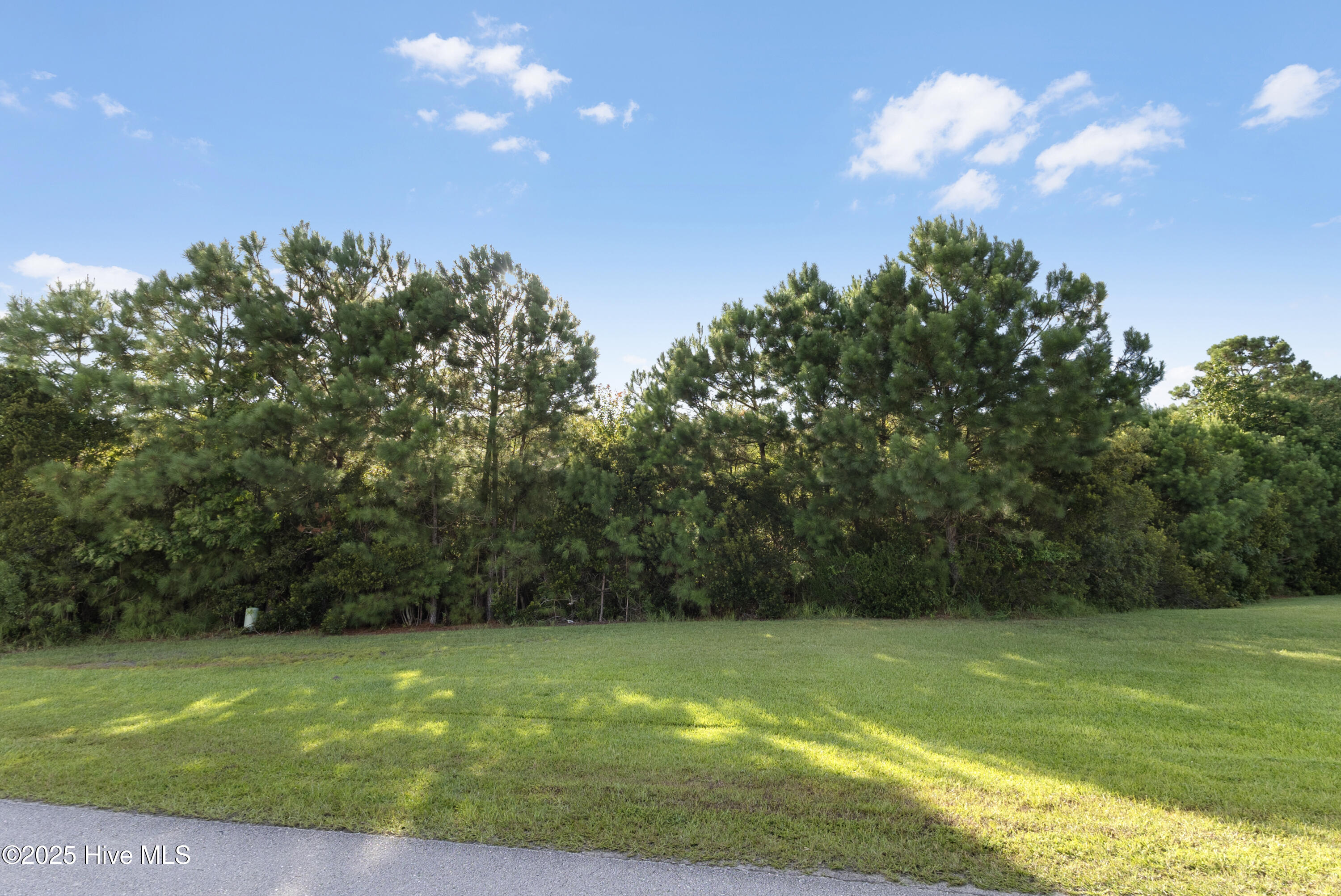 100523400 | Photo 19