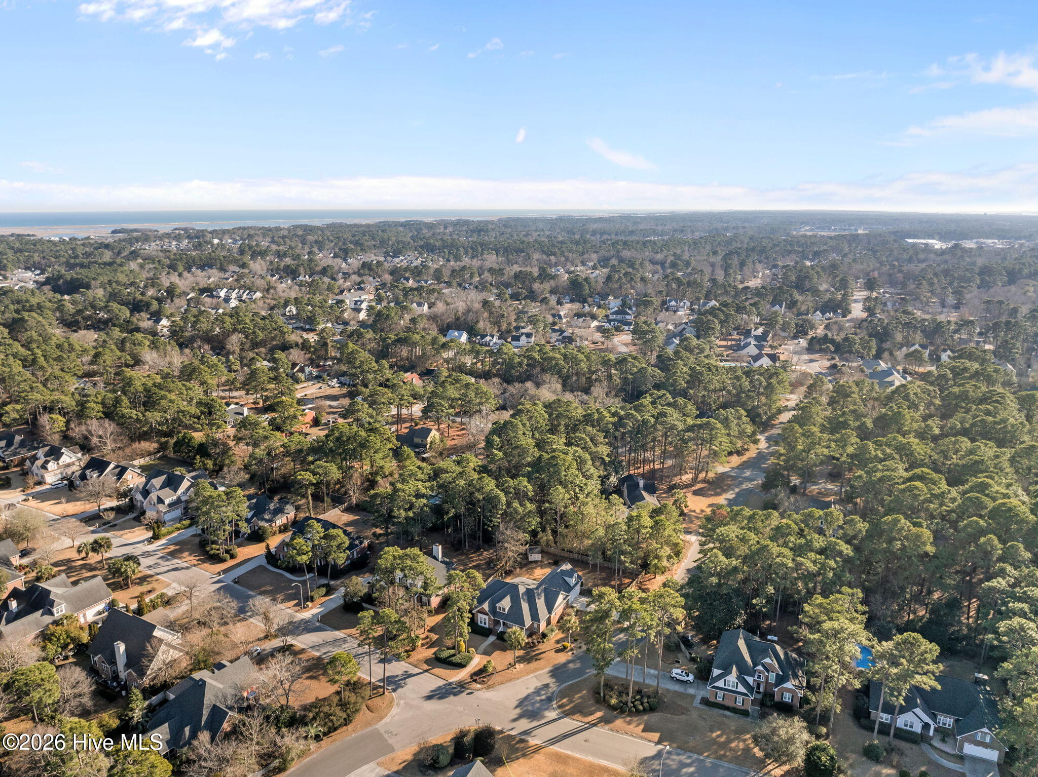 100552731 | Photo 65