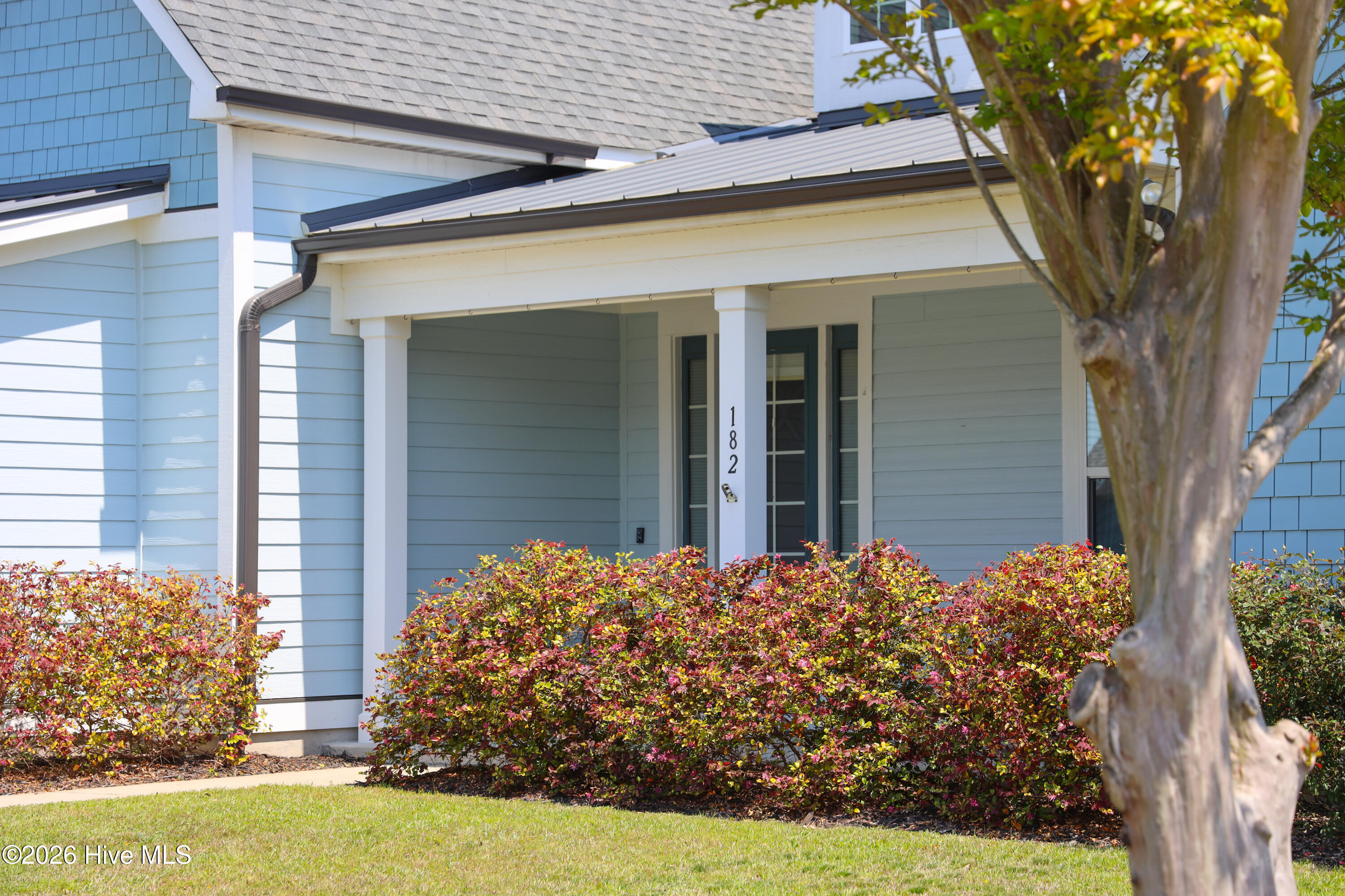 100567915 | Photo 95