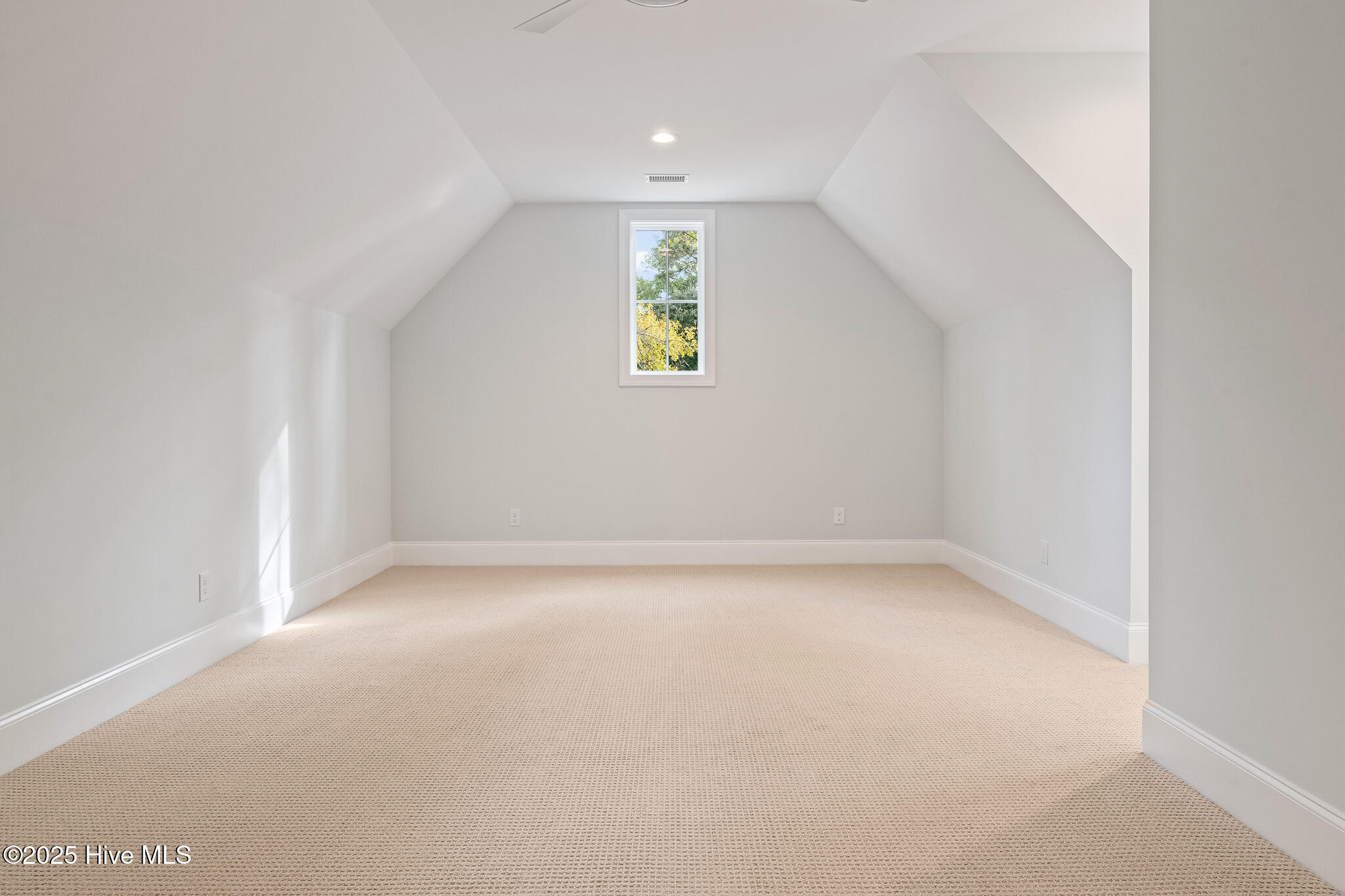 100535512 | Photo 39