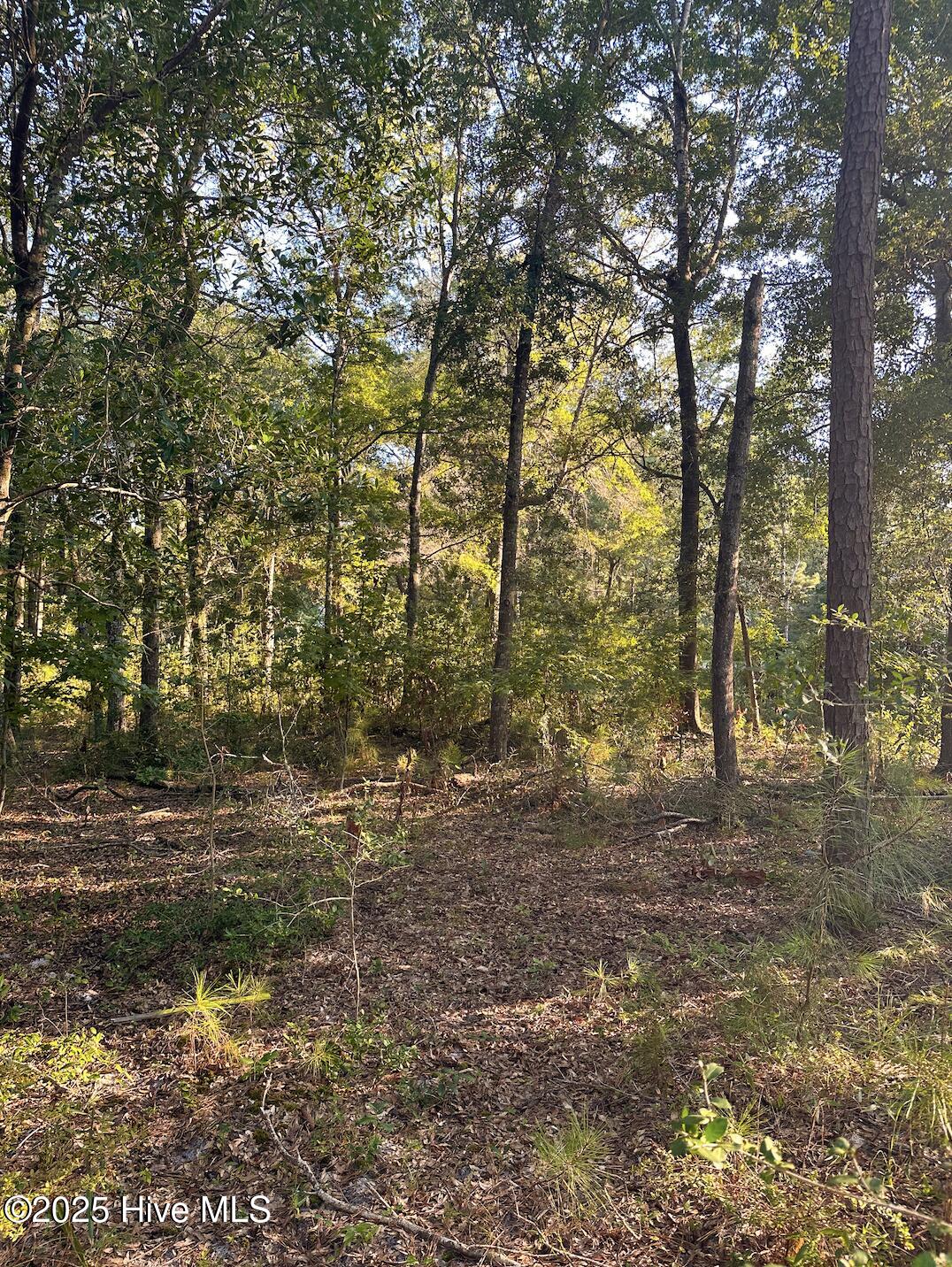 100528221 | Photo 11