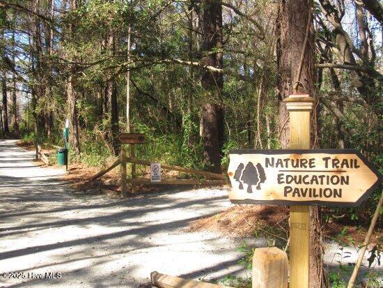 100516834 | Photo 49