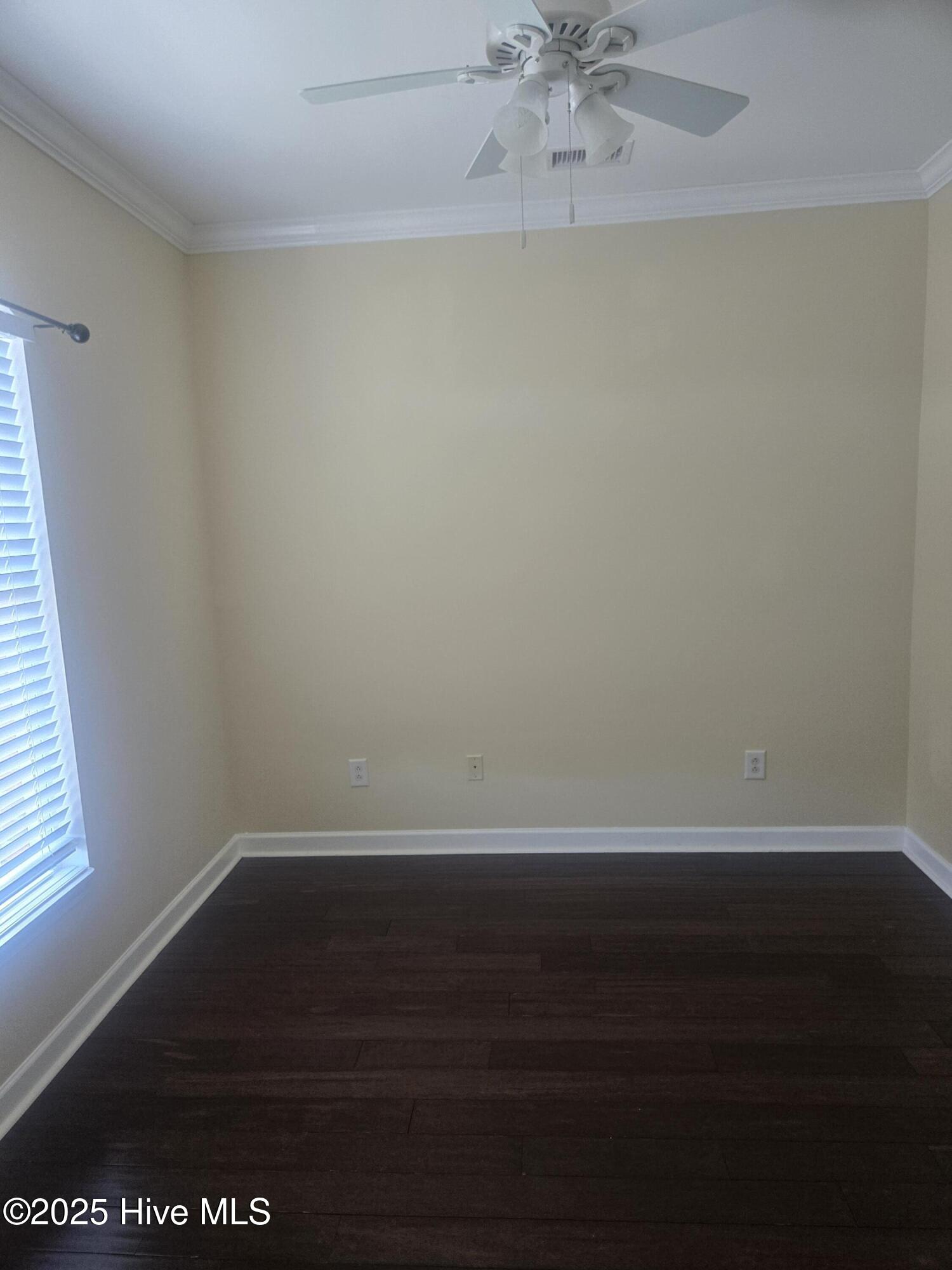 100517924 | Photo 13