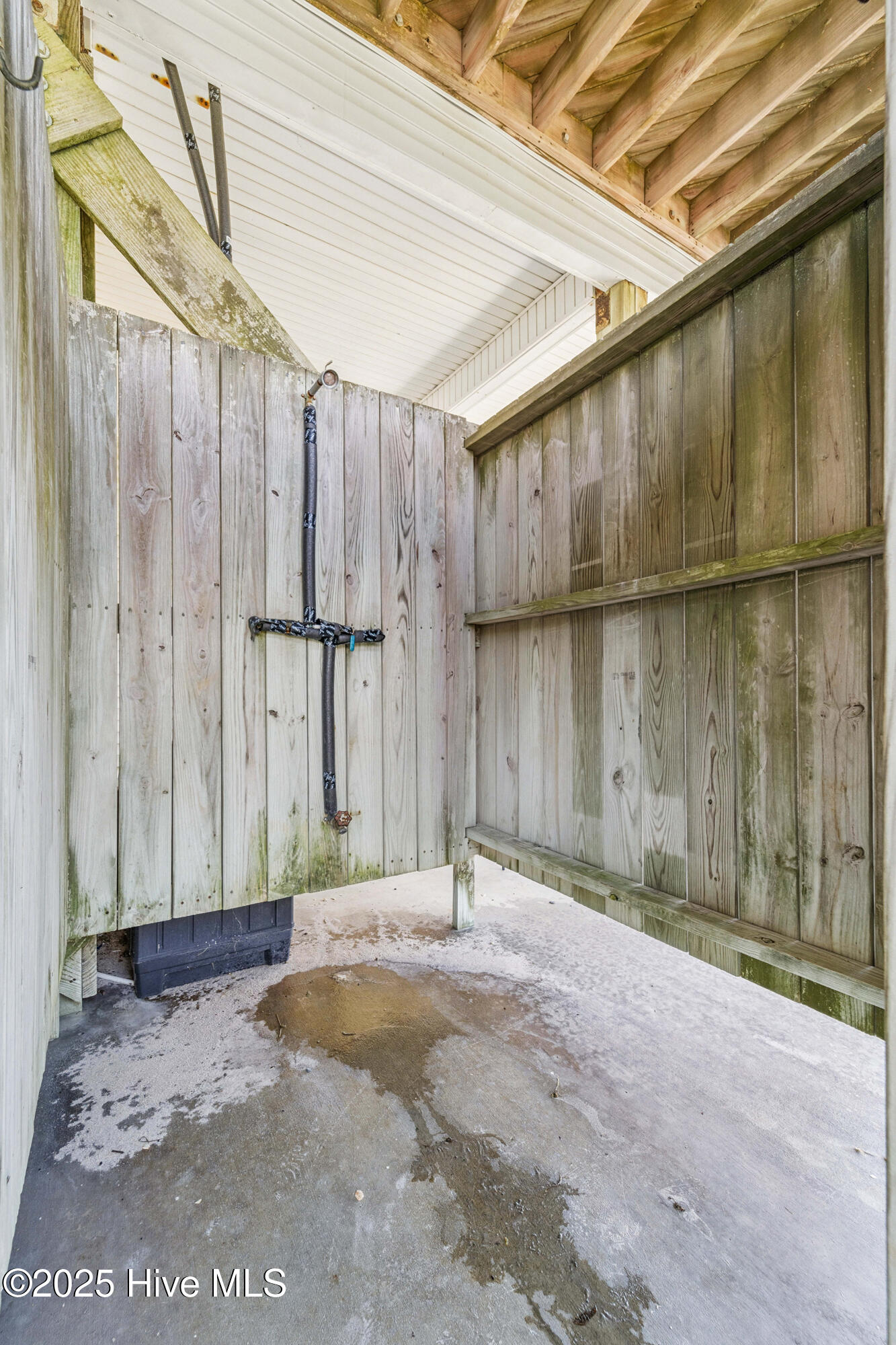 100533814 | Photo 14