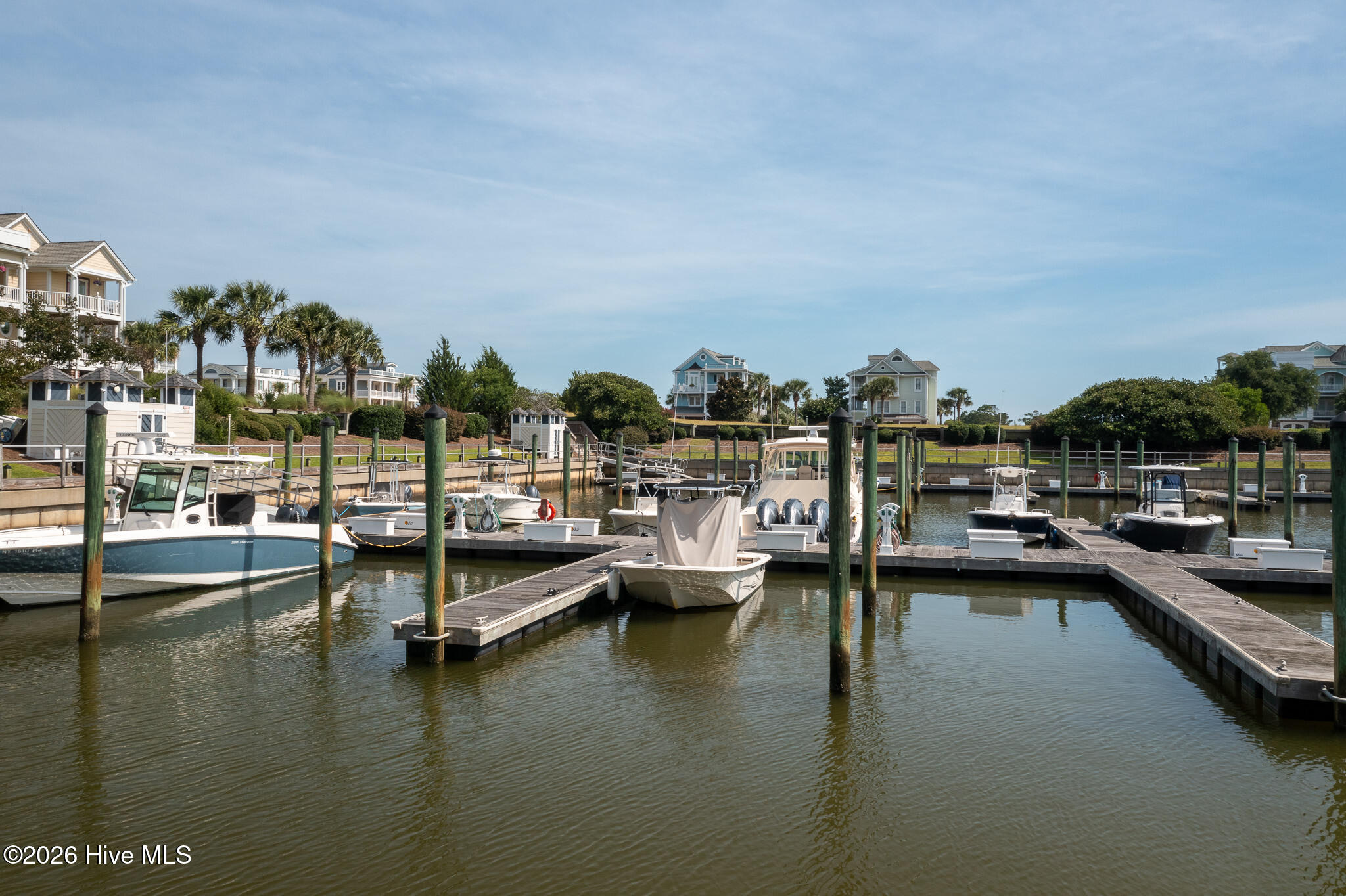 100559457 | Photo 21