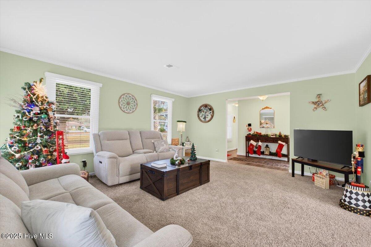 100545415 | Photo 12