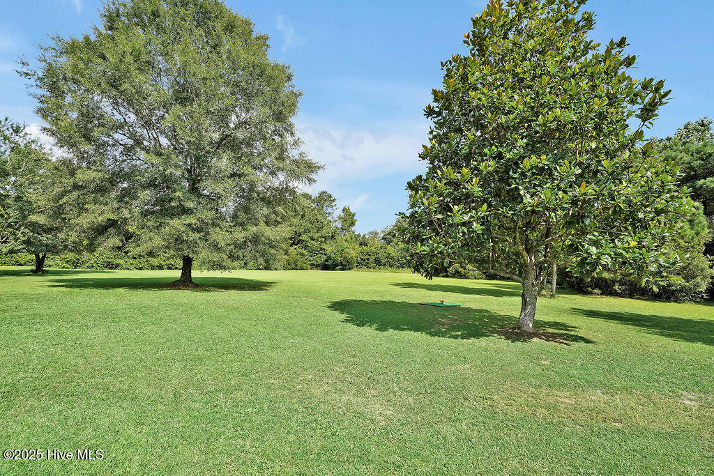 100521494 | Photo 44