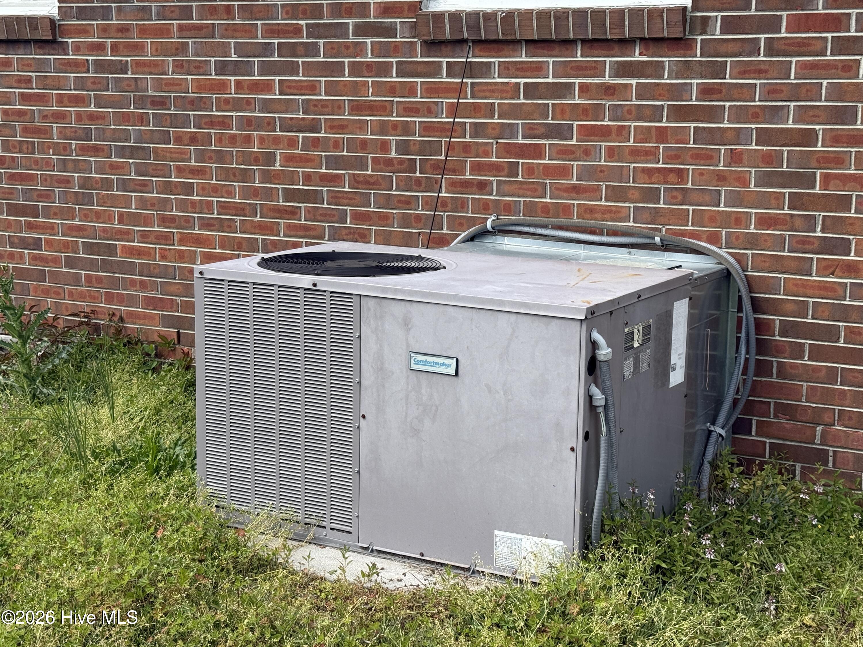 100567135 | Photo 21