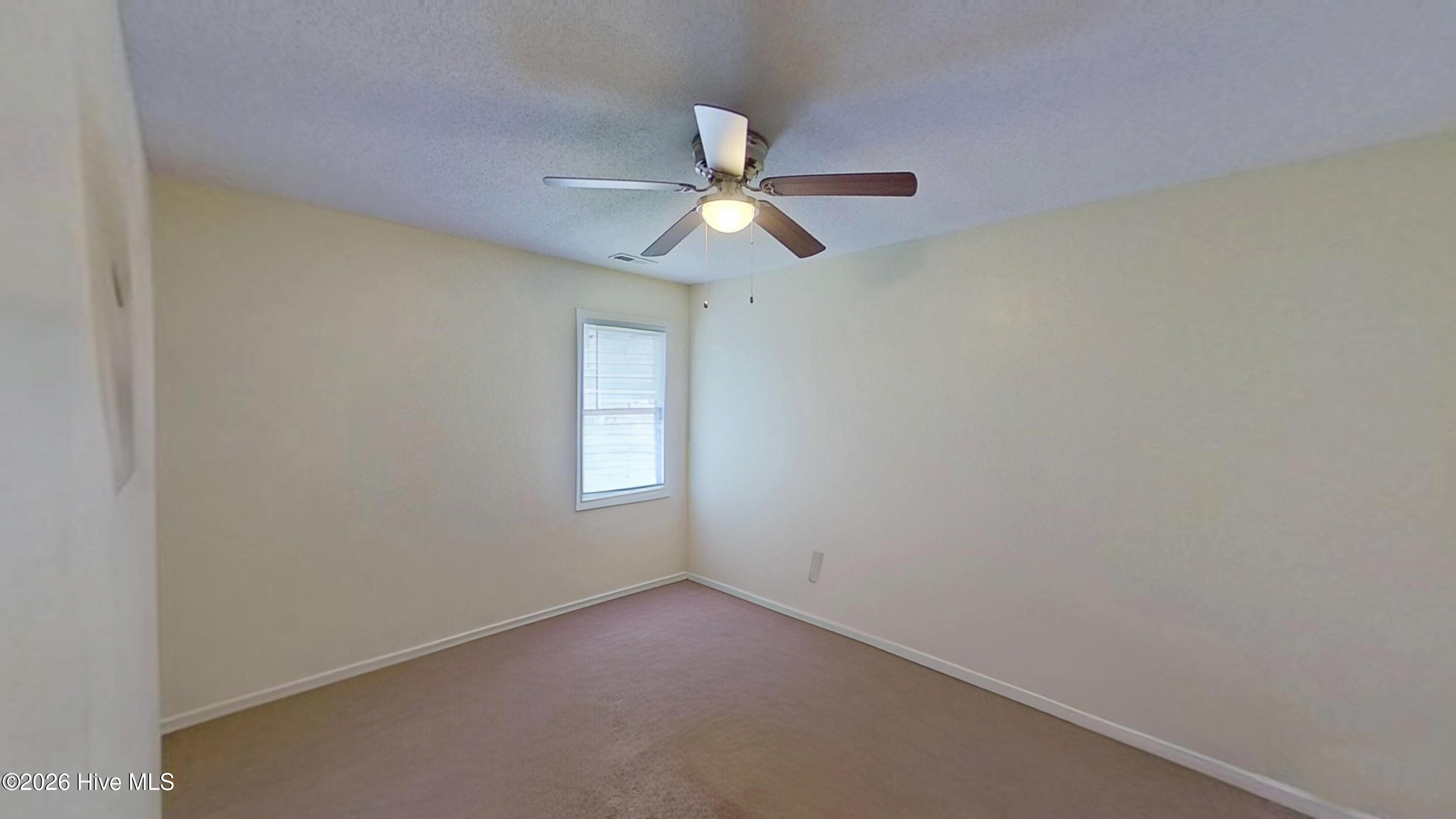 100558513 | Photo 12