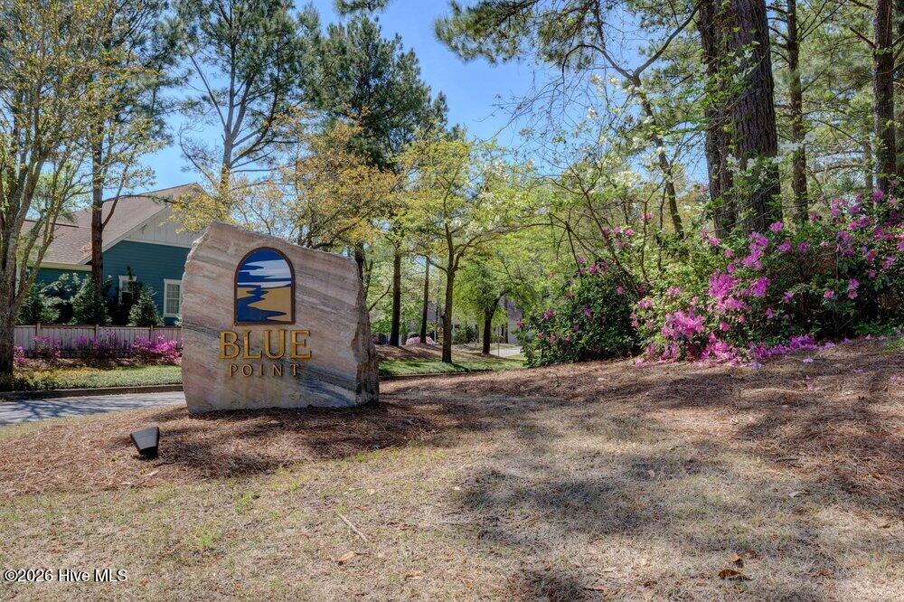 100558547 | Photo 48