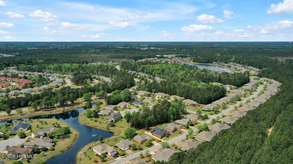 100565145 | Photo 39