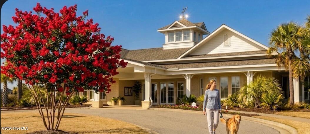 100552531 | Photo 15