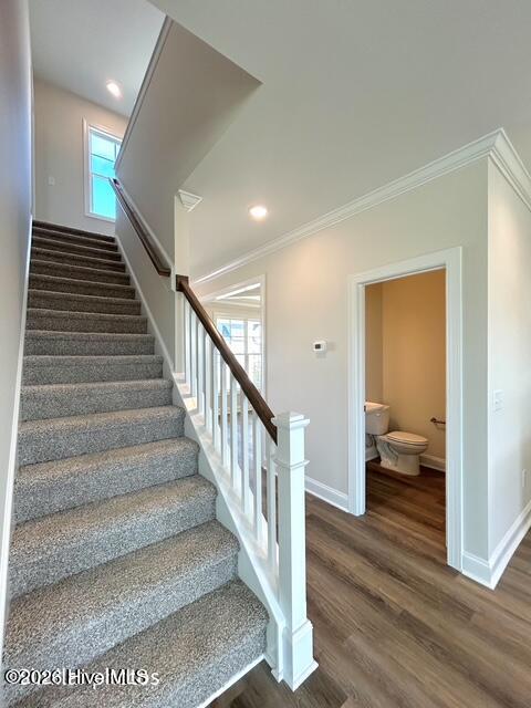 100553886 | Photo 28