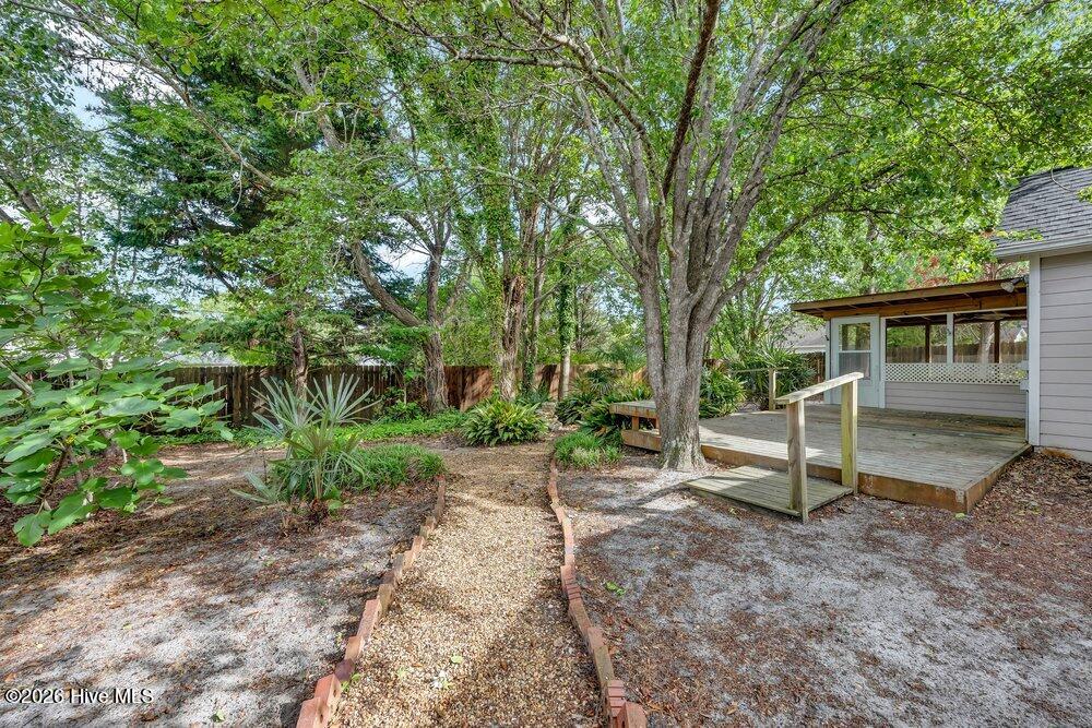 100570351 | Photo 28