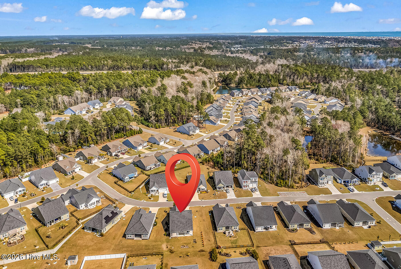 100560005 | Photo 51