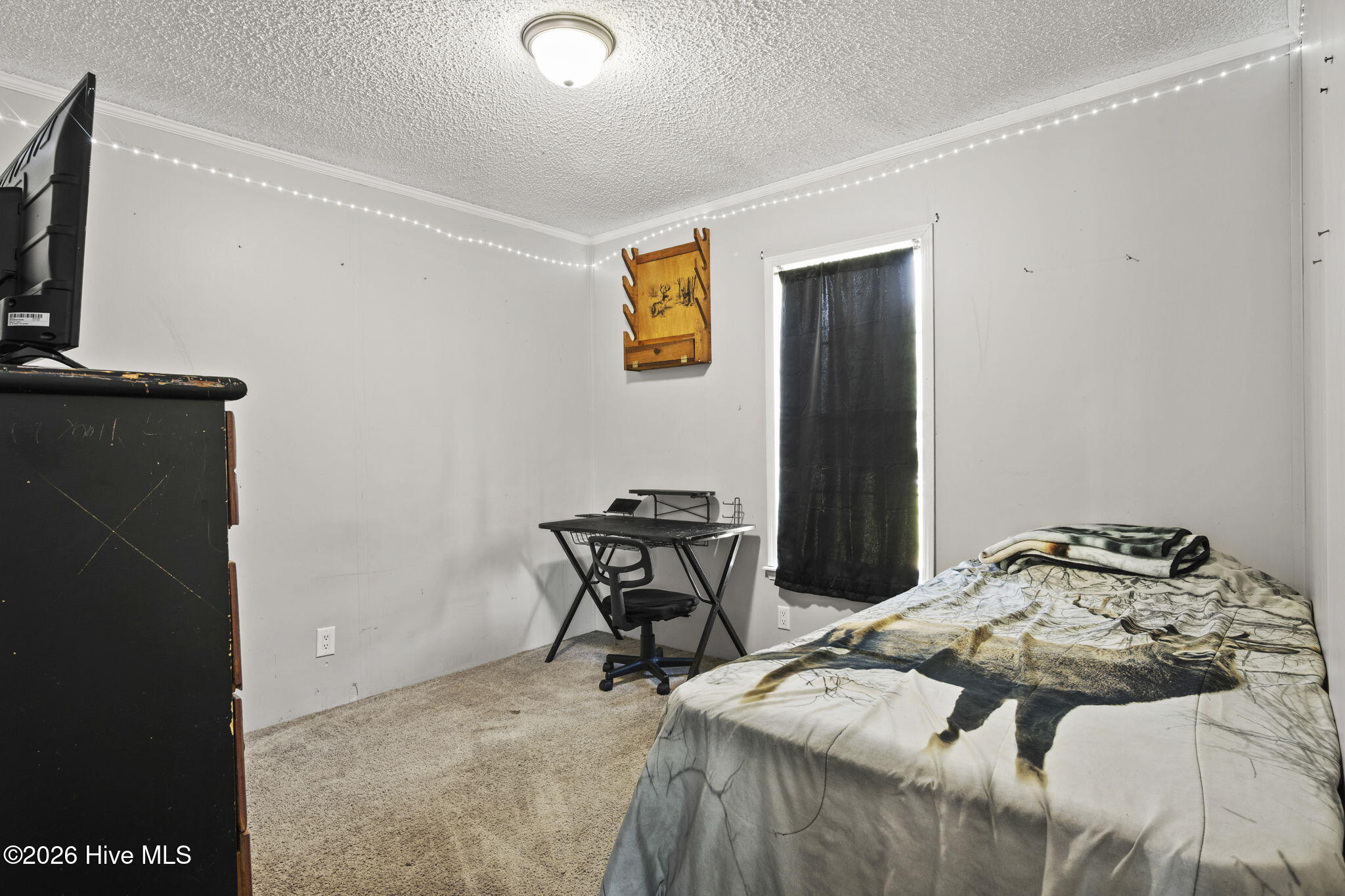 202 Red Sorrel Drive,Stella