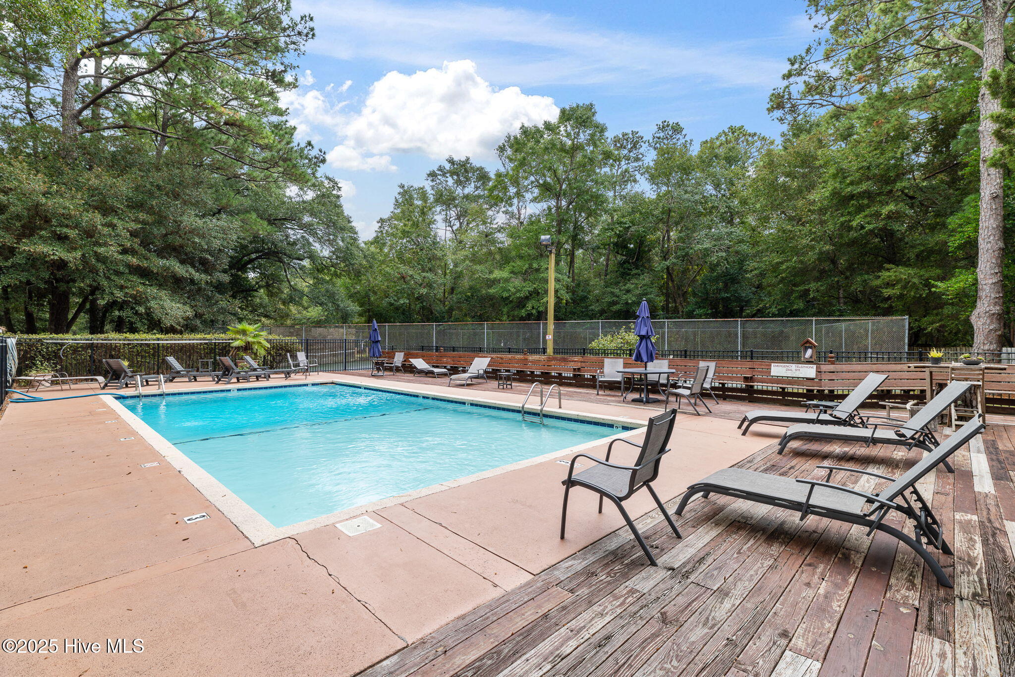 100548245 | Photo 69