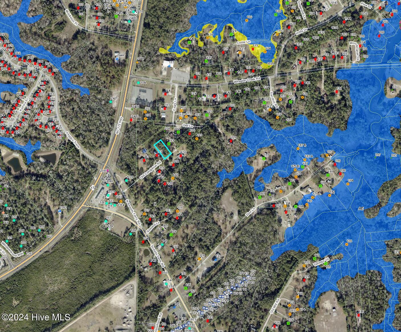 100543798 | Photo 14