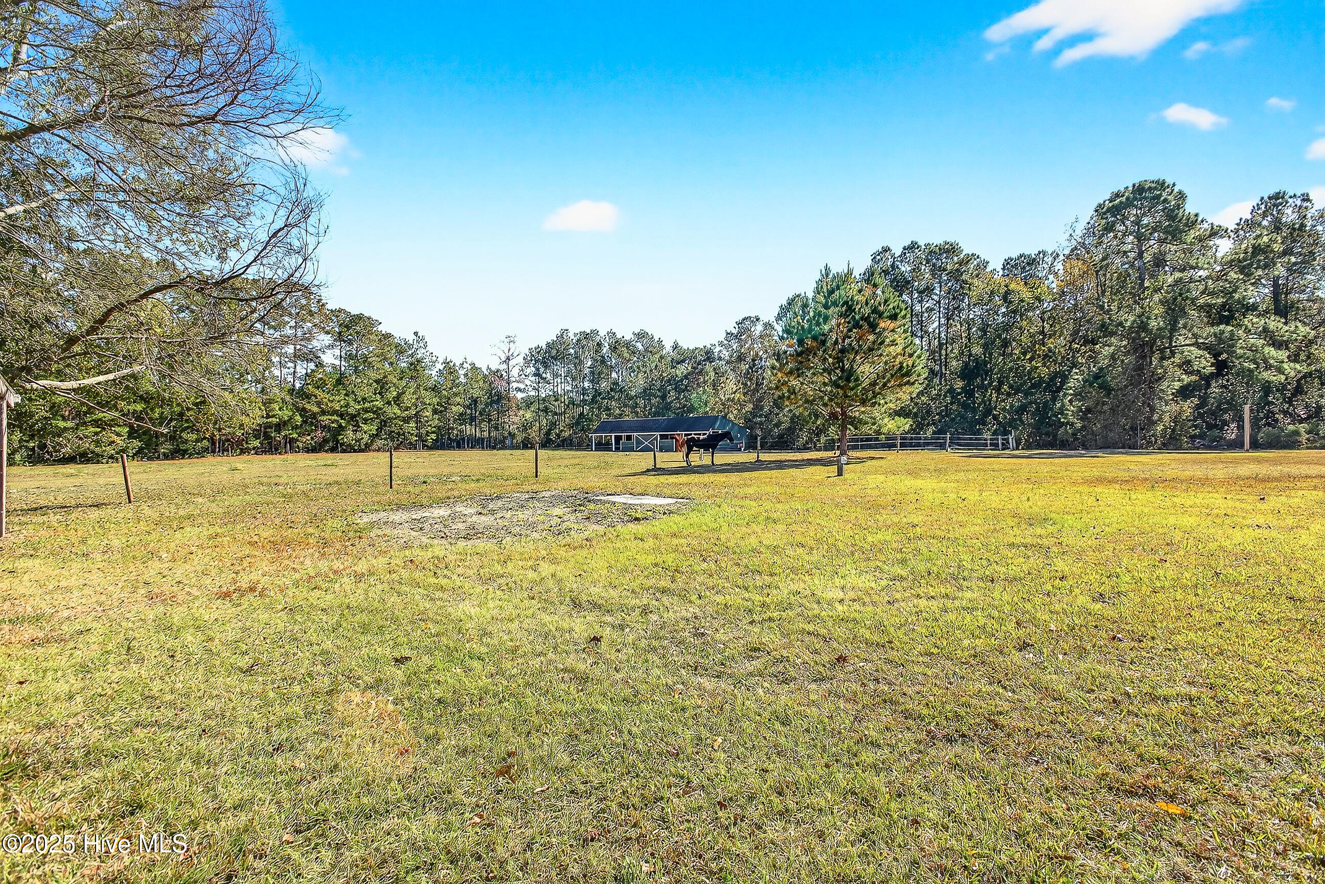 100540143 | Photo 54