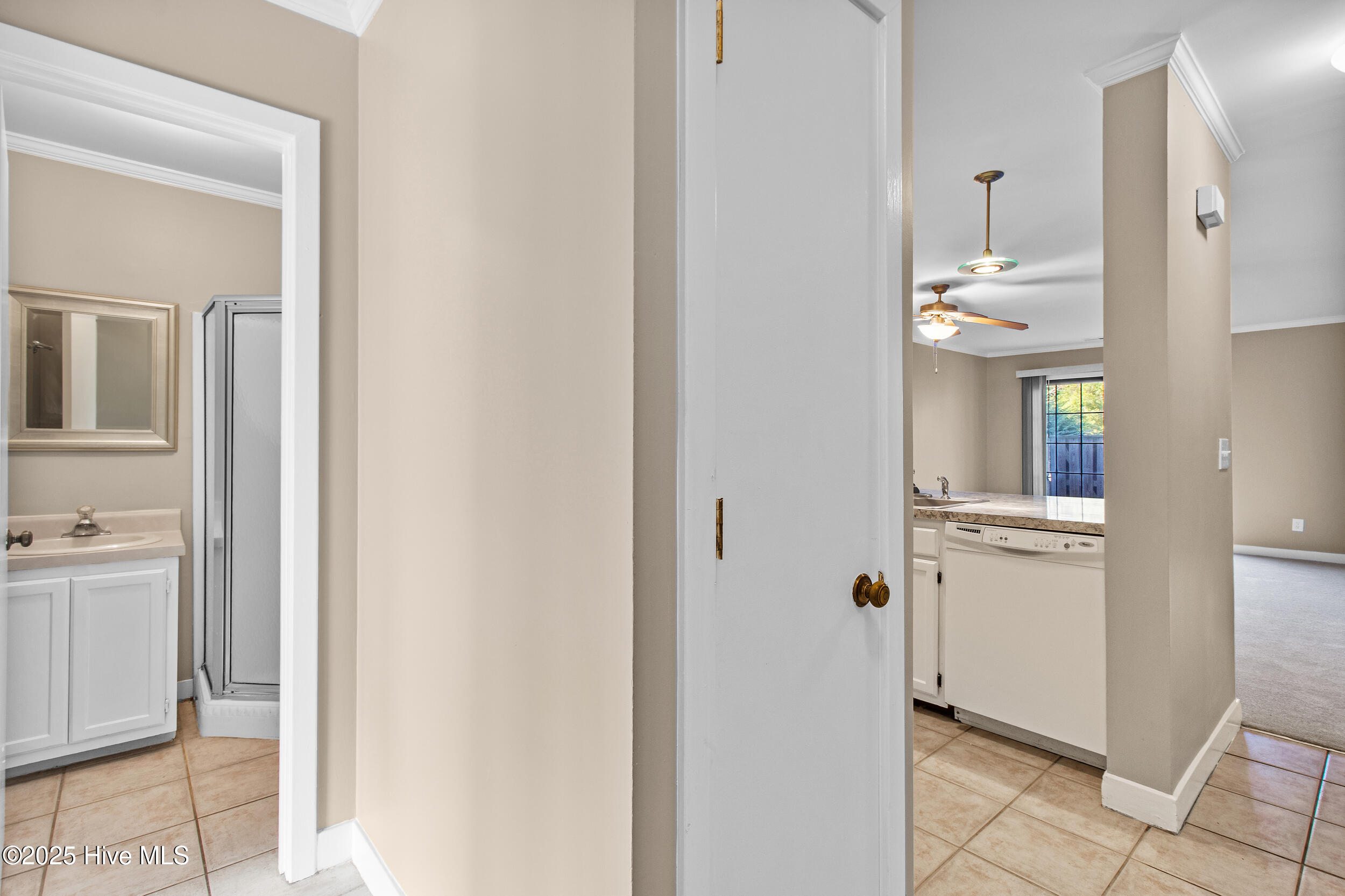 100540699 | Photo 14