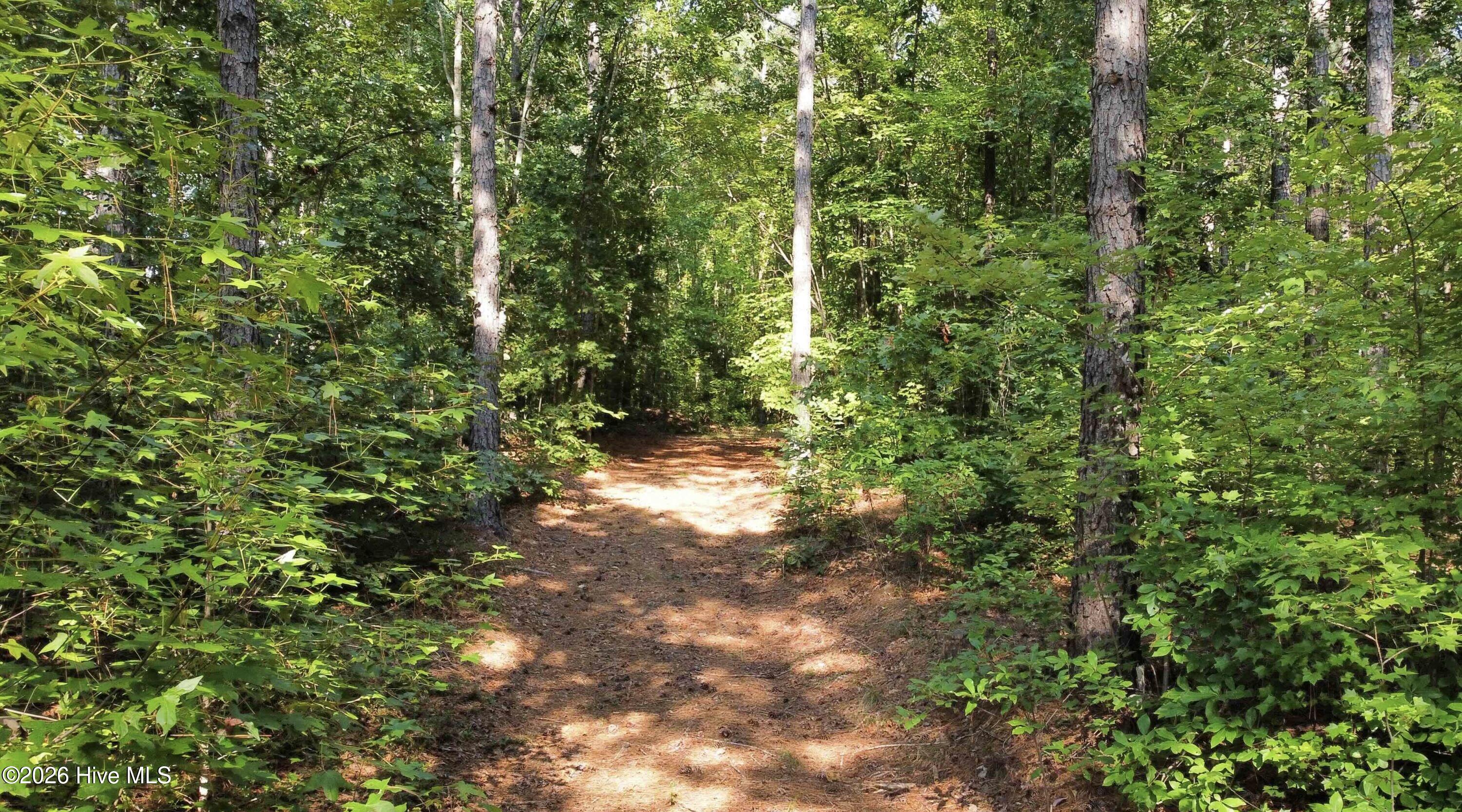 Photo 10 of Land for sale at 0 Richardson Rd, Warrenton, NC 27589 | MLS# 100600733 | Listing updated on 2026-09-02
