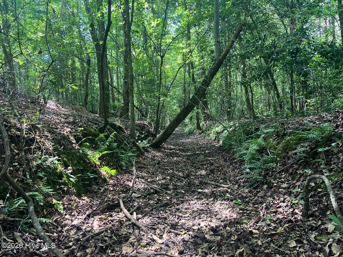 0 Ruby'S Lane,Maysville