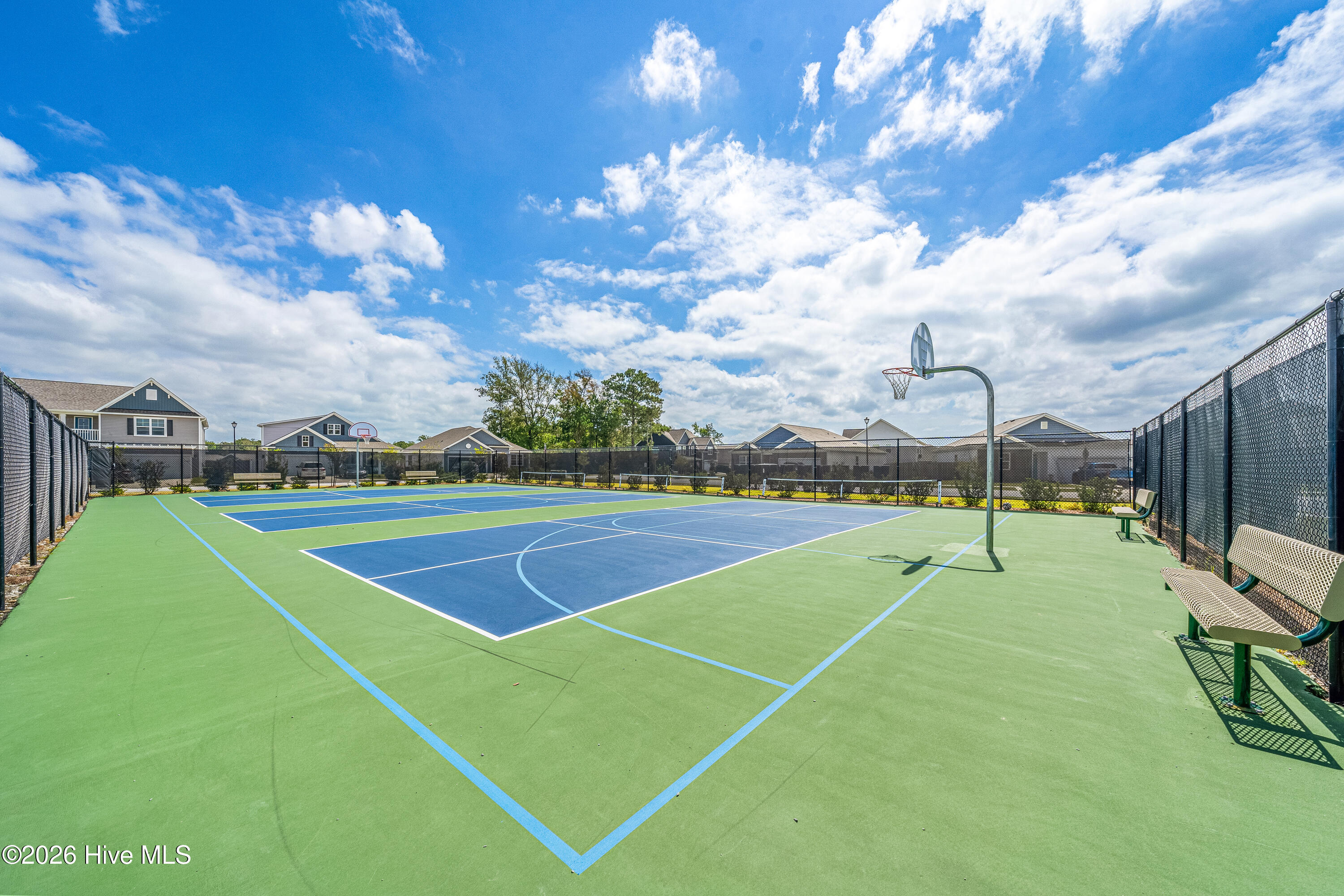 100566439 | Photo 21