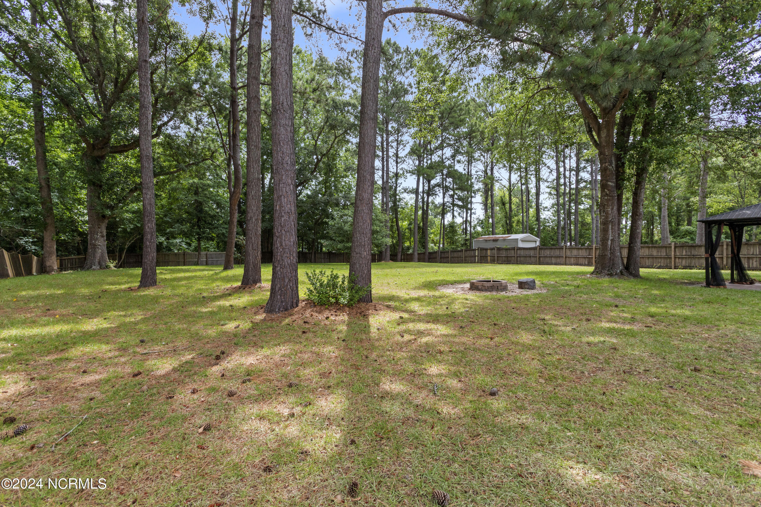 100529706 | Photo 38