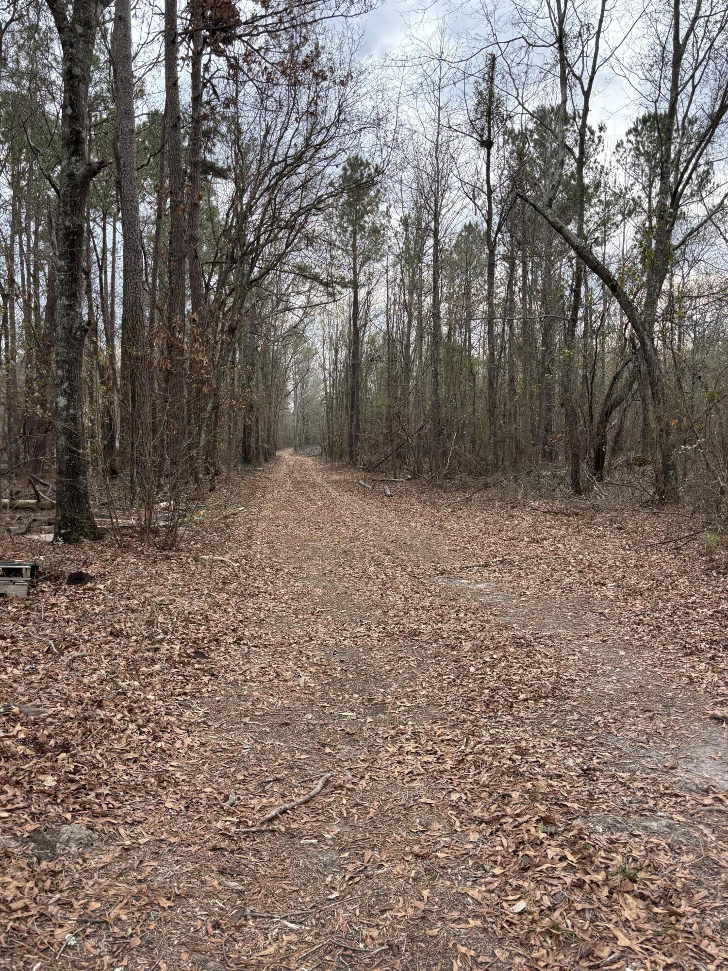 Homes for sale in Blythe, GA | 745 Wright Allen Rd, Blythe, GA 30805 | MLS# 98254528