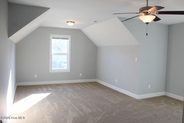 100548455 | Photo 40