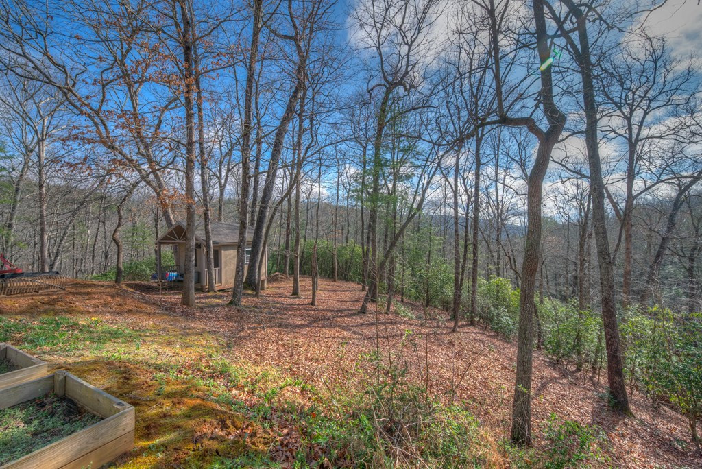 118 Hothouse Creek Road, Murphy, NC 28906 Listing Photo  10