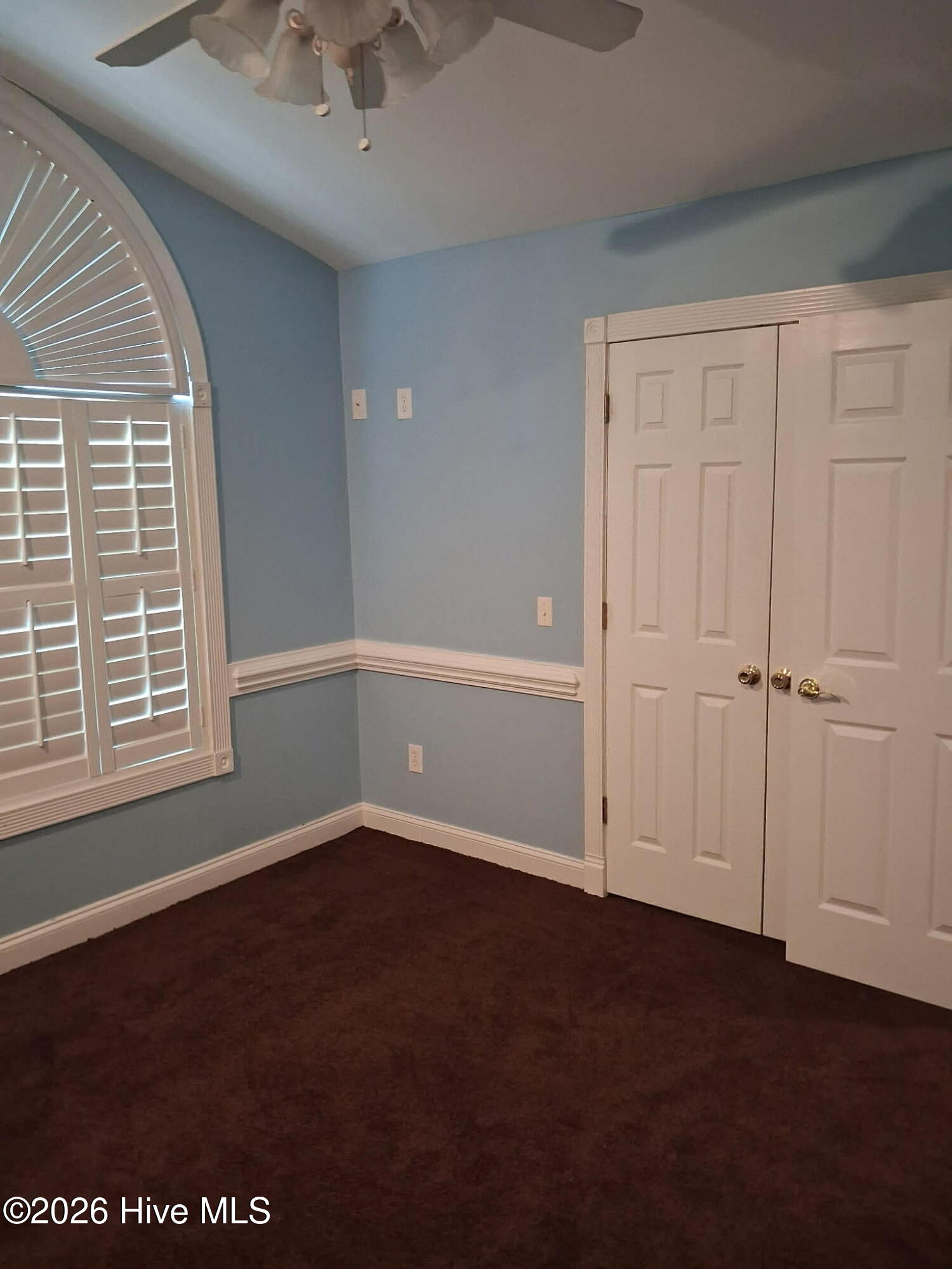 100554773 | Photo 10